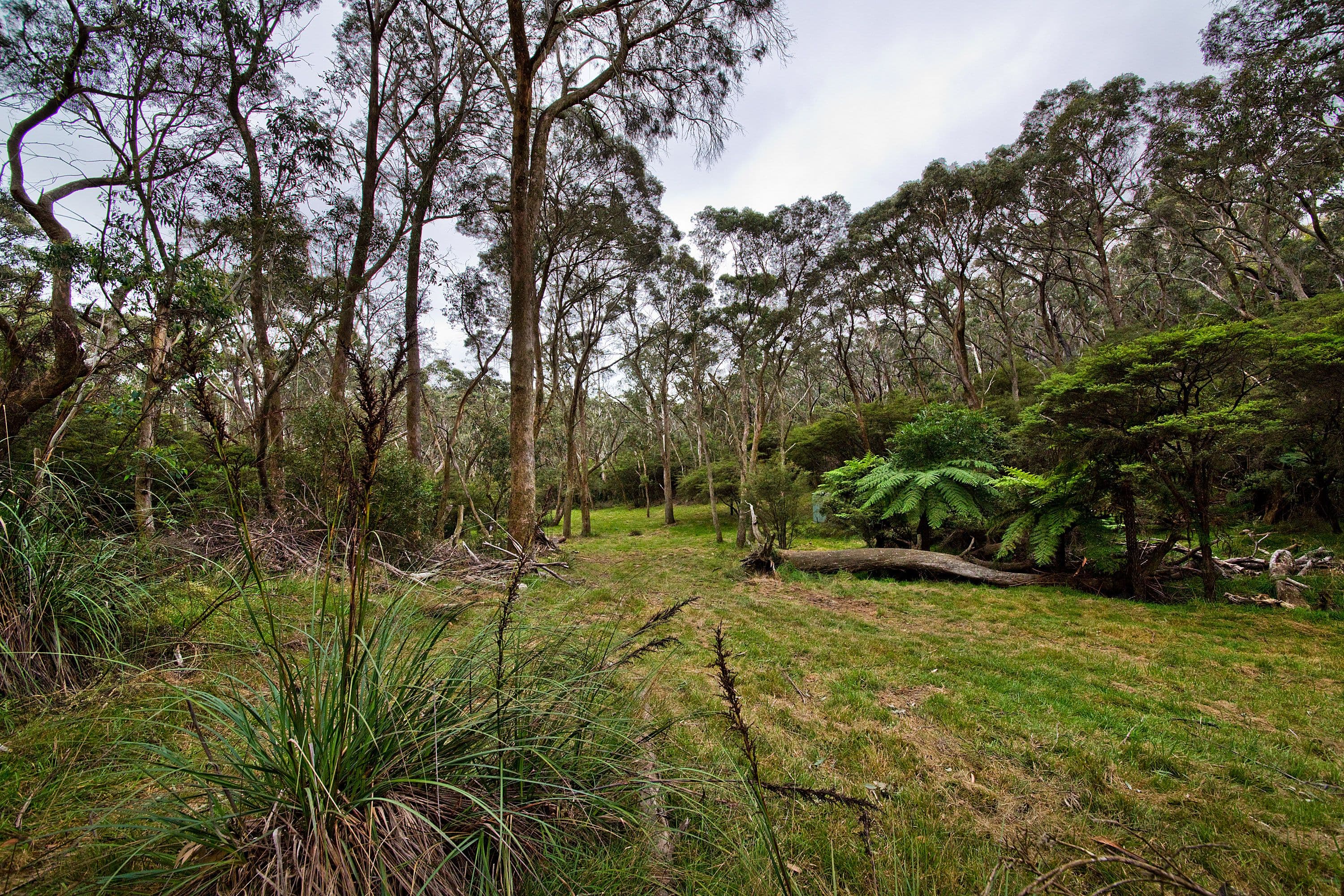 6 Russell Street, Katoomba NSW 2780, Katoomba - Thumbnail 3