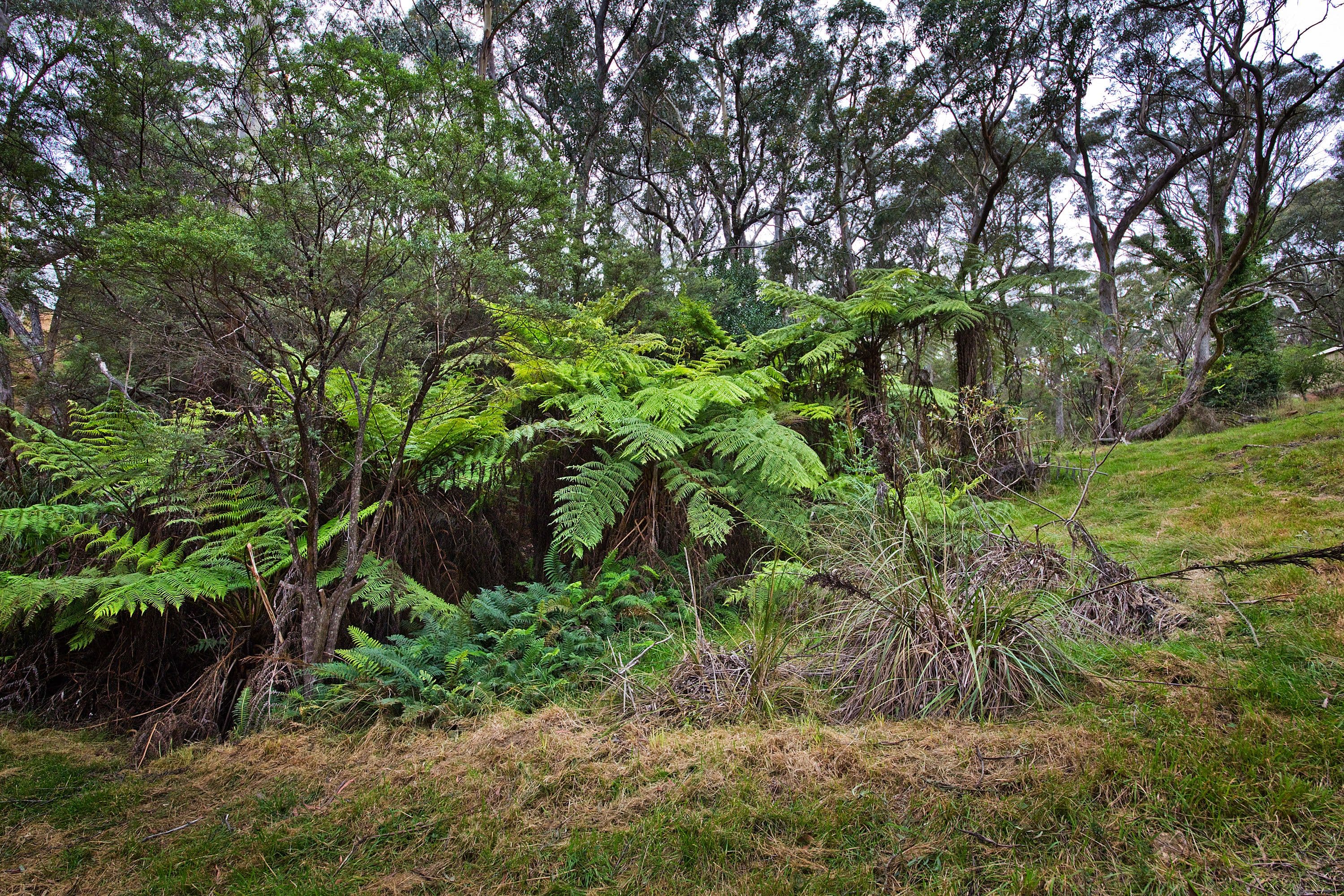 6 Russell Street, Katoomba NSW 2780, Katoomba - Thumbnail 7