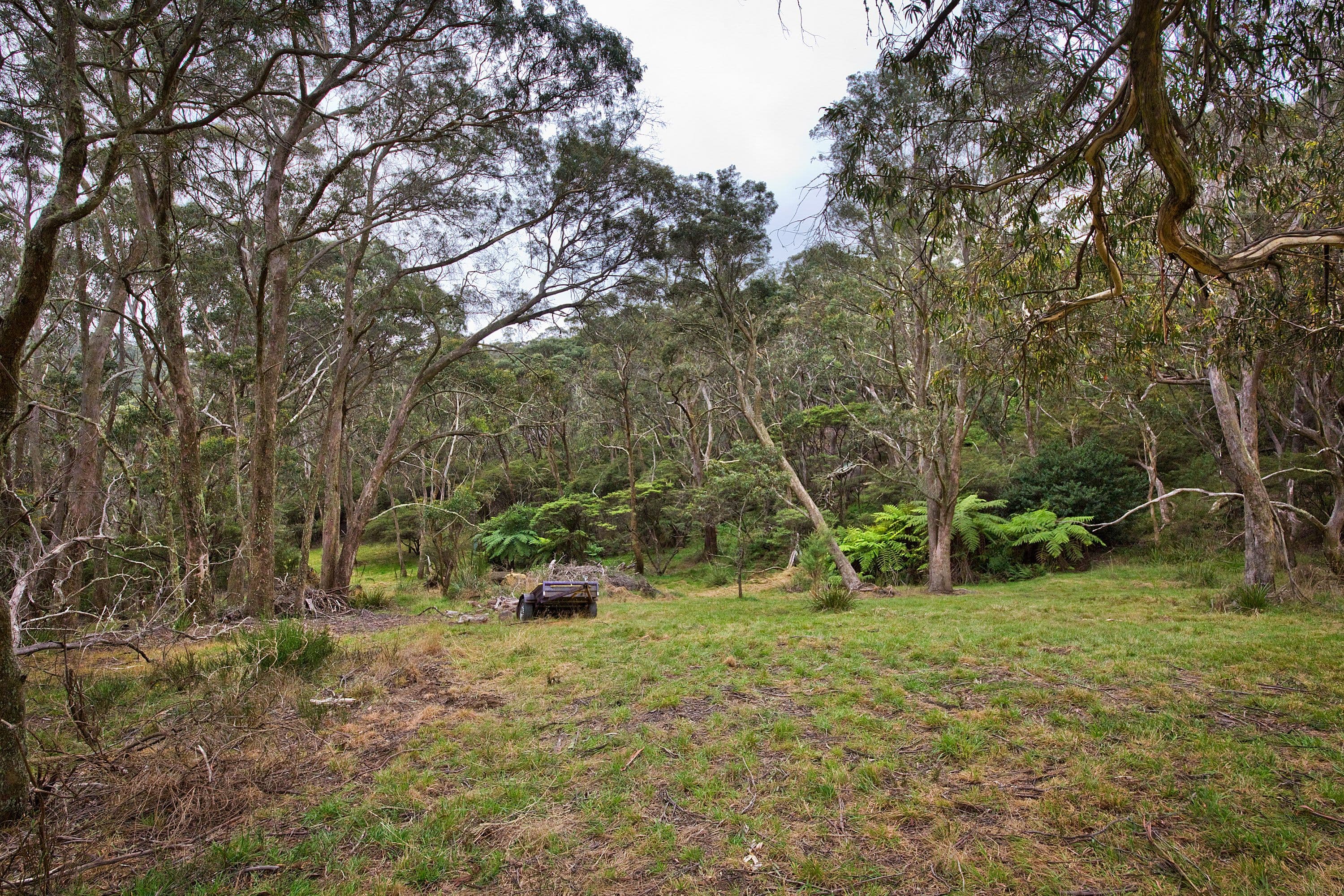 6 Russell Street, Katoomba NSW 2780, Katoomba - Thumbnail 8
