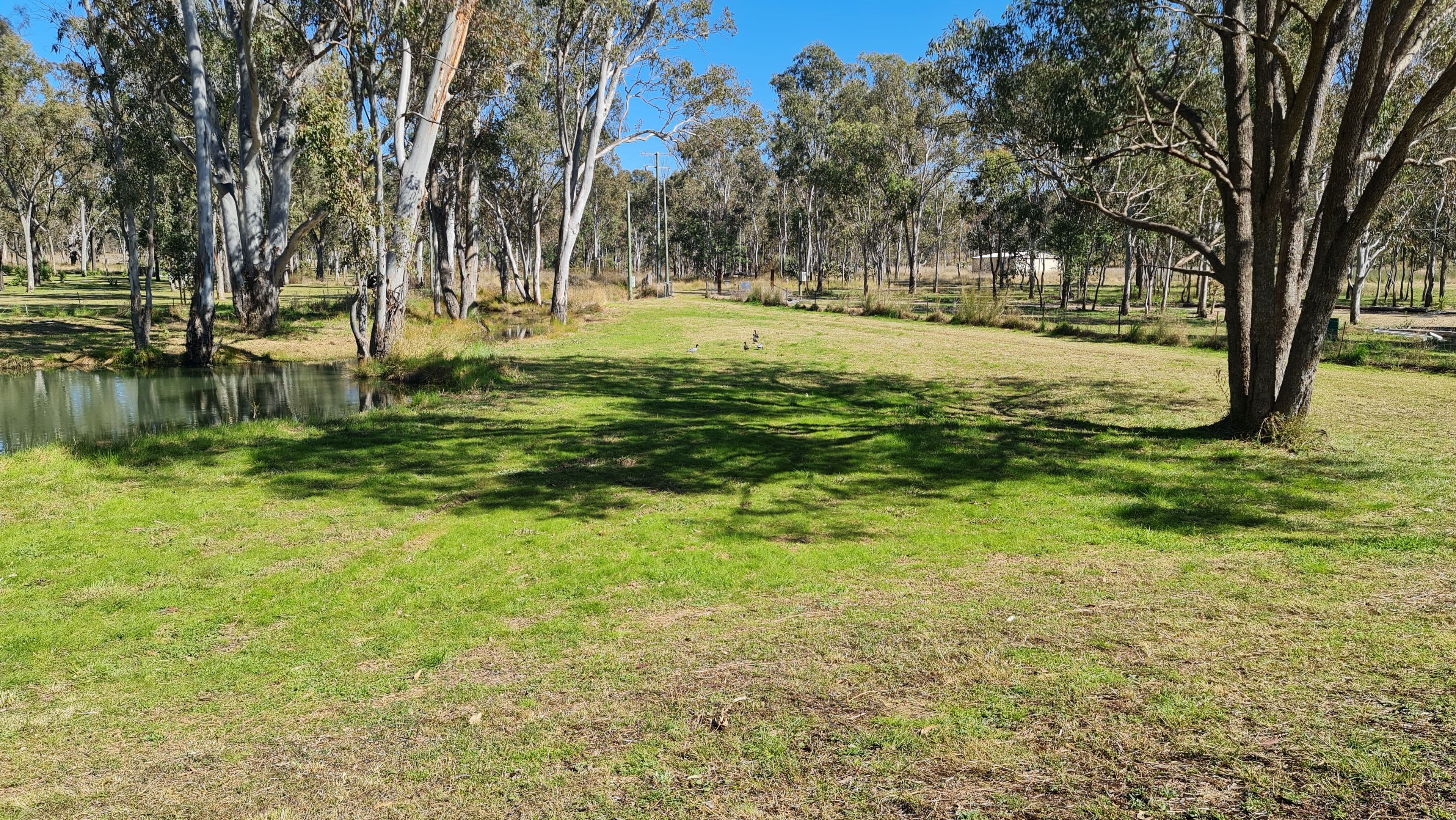 1 Ahern Lane, Pratten QLD 4370, Pratten - Thumbnail 6