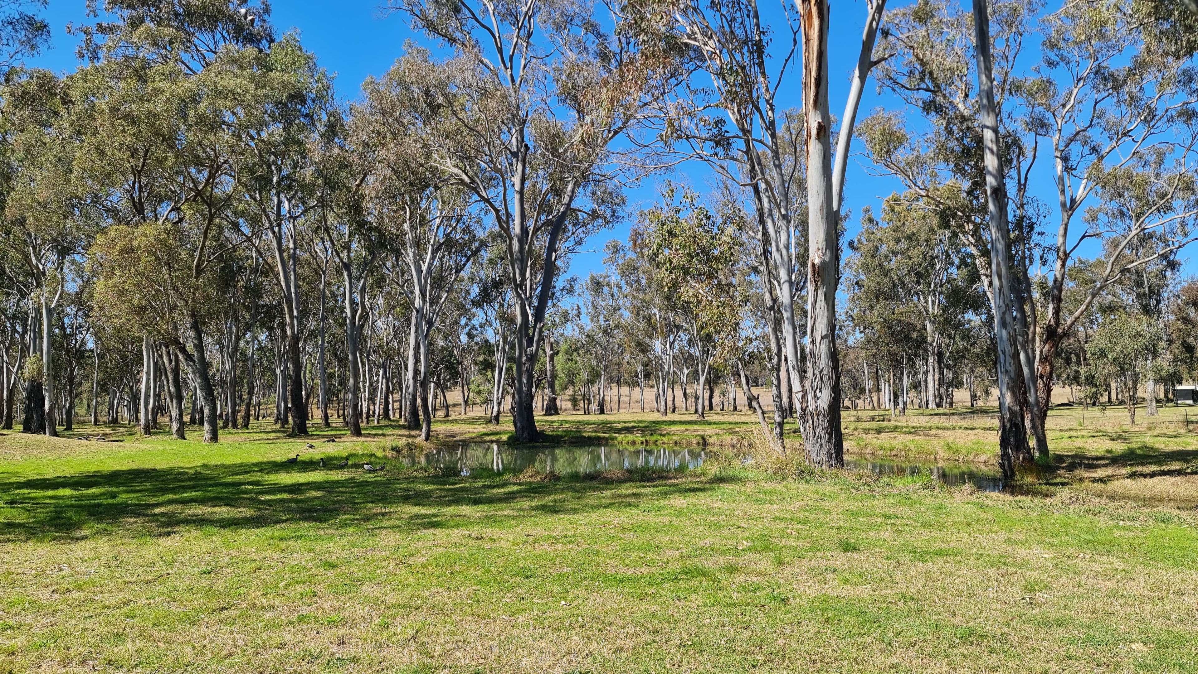 1 Ahern Lane, Pratten QLD 4370, Pratten - Thumbnail 8