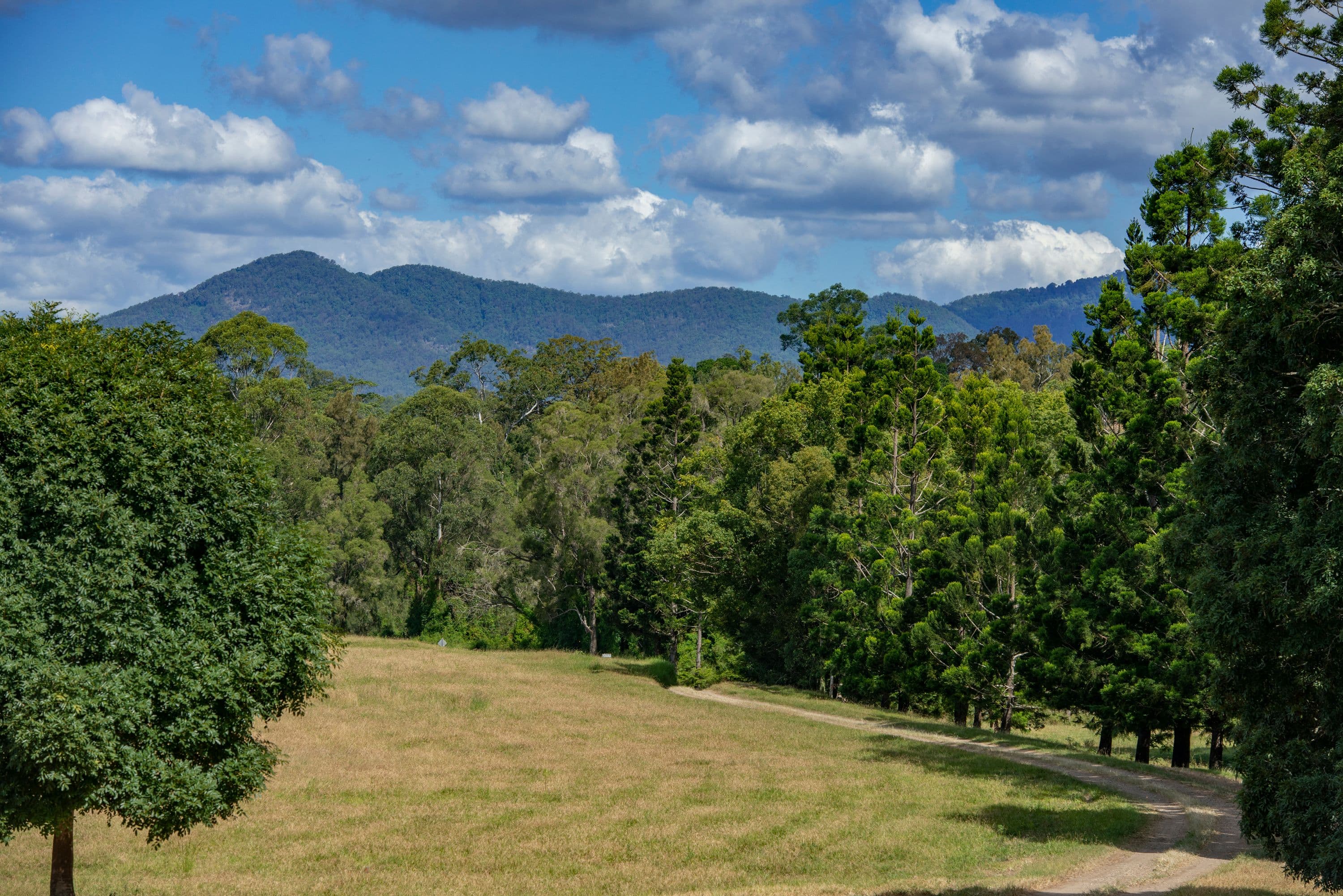 Lot 44 Juffs Road W, Dayboro QLD 4521, Dayboro - Thumbnail 5