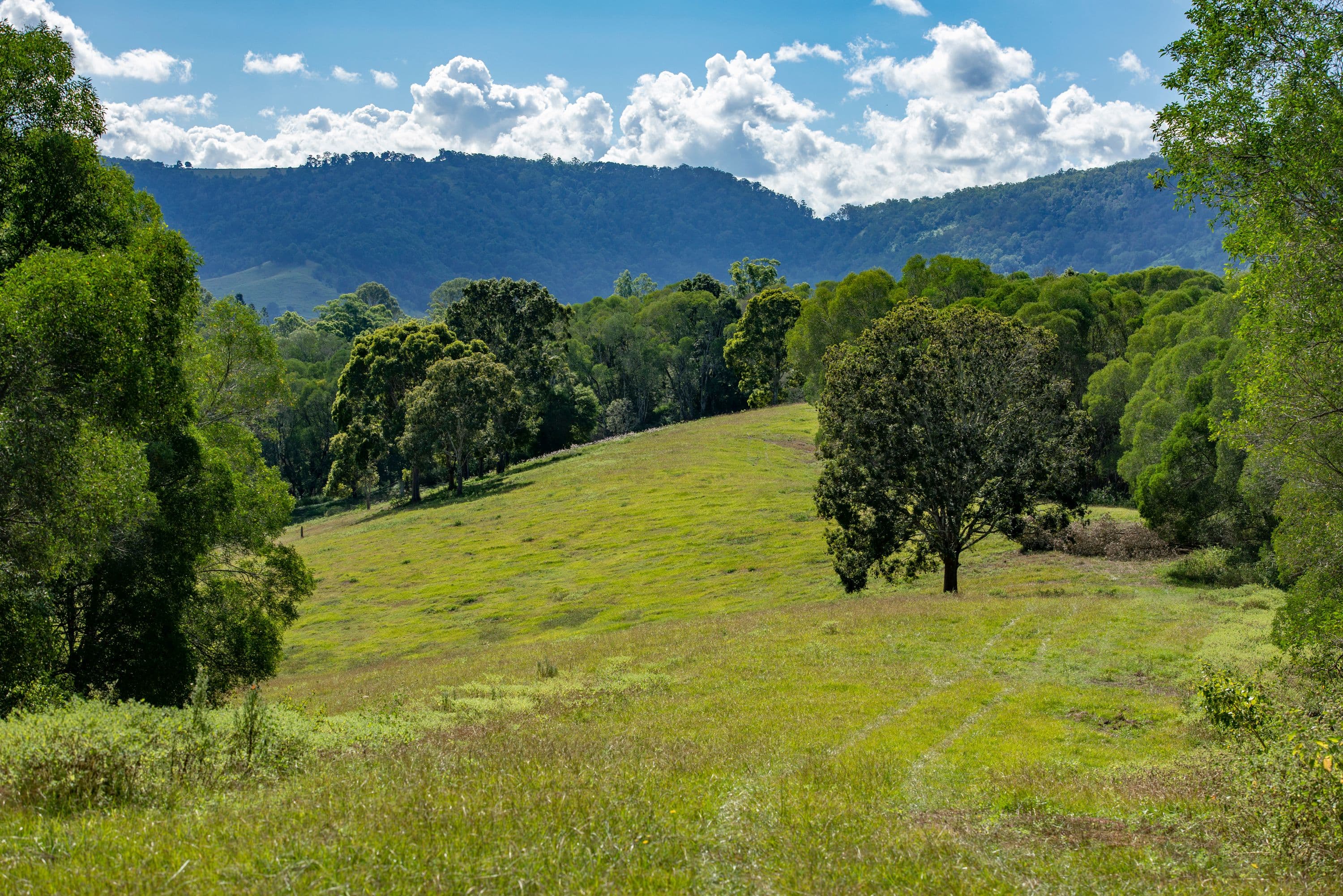 Lot 44 Juffs Road W, Dayboro QLD 4521, Dayboro - Thumbnail 6