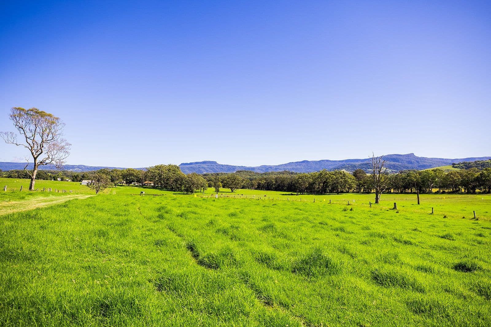 Lot 13 'Serenity Ridge' 510 Beach Road, Berry NSW 2535, Berry - Thumbnail 2
