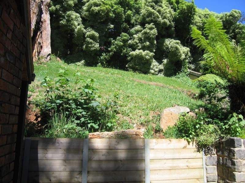 131 Dragon Street, Warwick, QLD, 4370, Warwick - Thumbnail 4