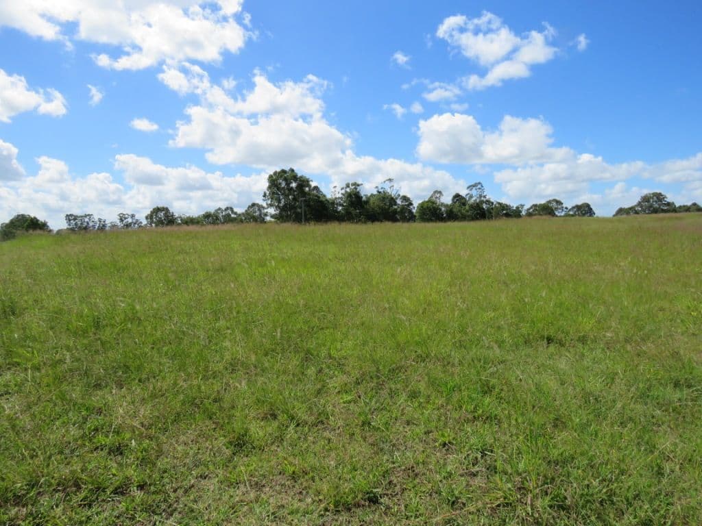 Lot 401 Lomandra Avenue, Caniaba NSW 2480, Caniaba - Thumbnail 4