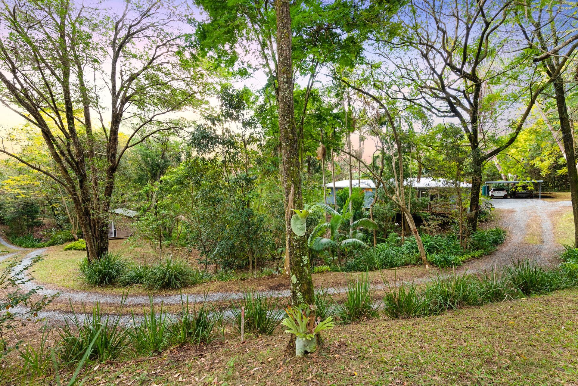18 Brahman Court, Tallebudgera QLD 4228, Tallebudgera - Thumbnail 2