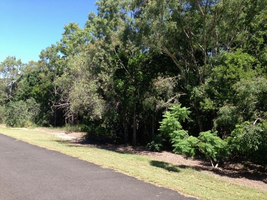 29 Plum Tree Crescent, MOORE PARK BEACH QLD 4670, Moore Park Beach - Image 1