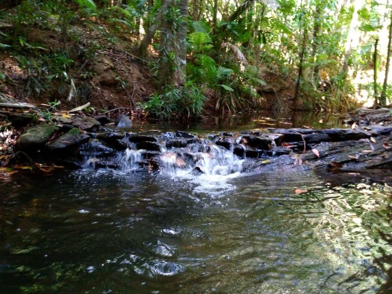 12 Greendale Court, Jubilee Heights QLD 4860, Jubilee Heights - Thumbnail 5