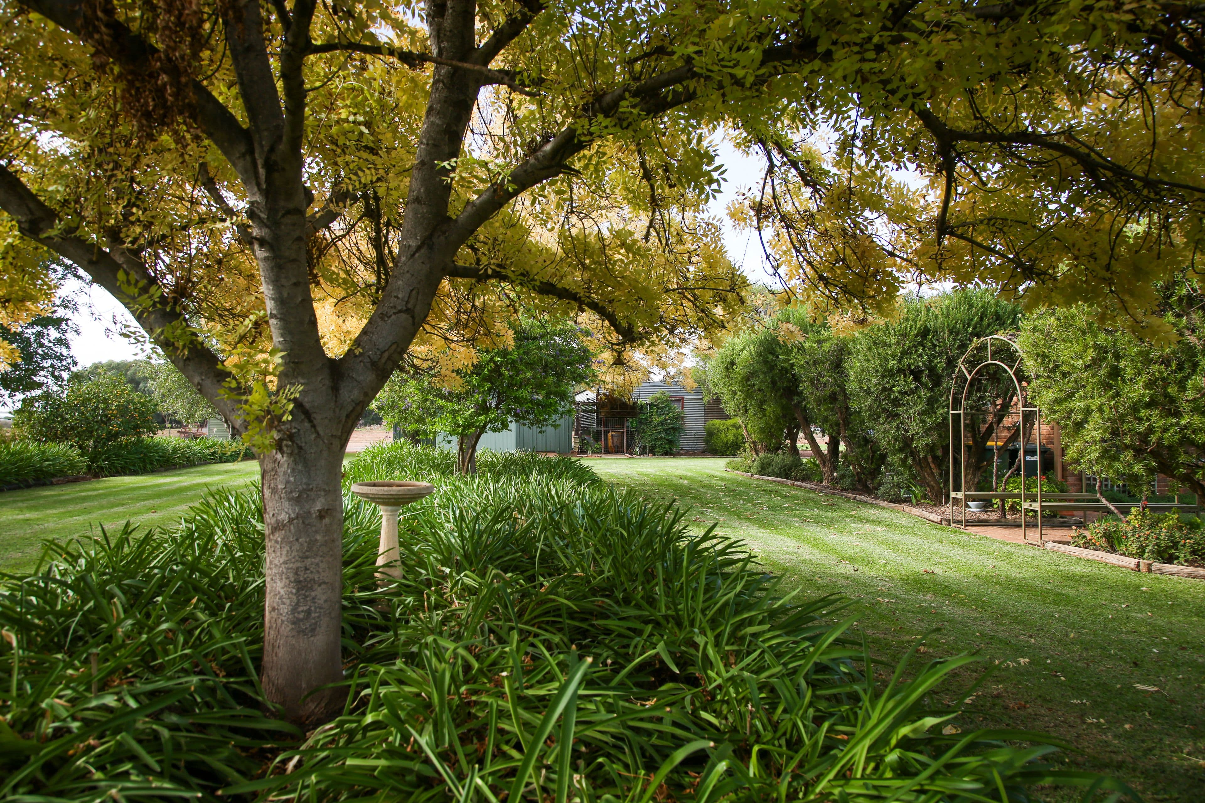 148 Walla Avenue, Griffith - Thumbnail 3