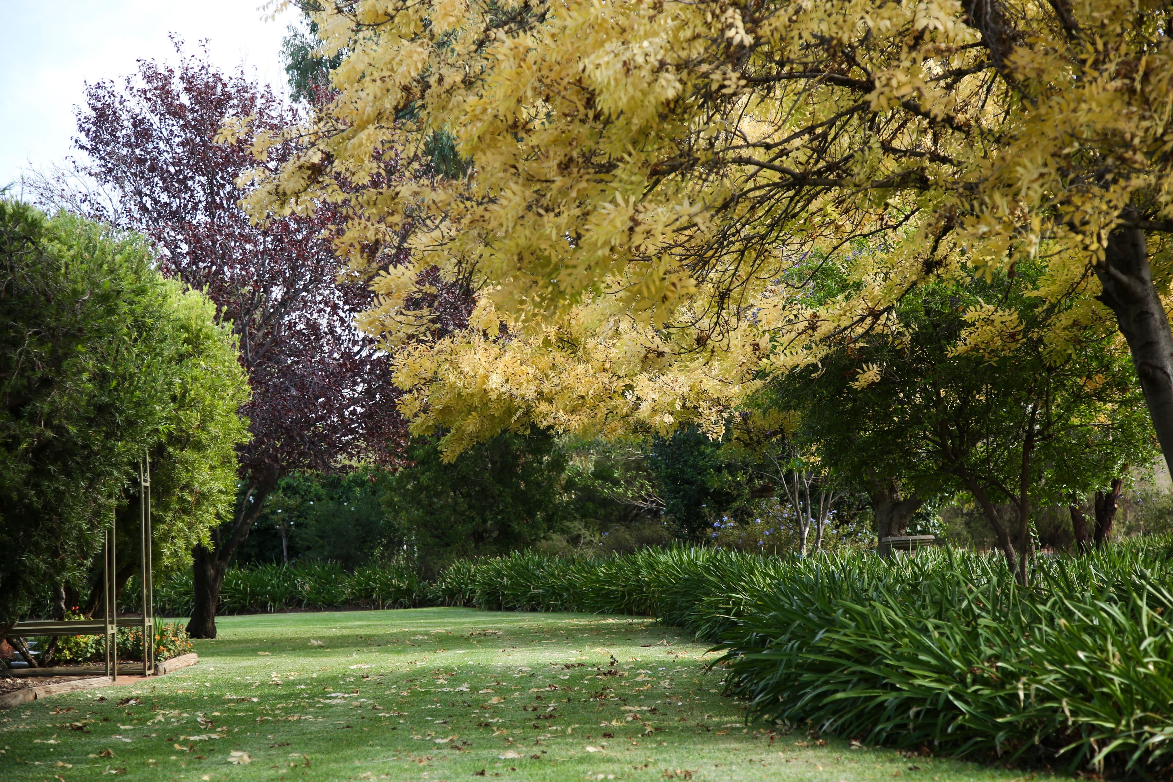 148 Walla Avenue, Griffith - Thumbnail 4