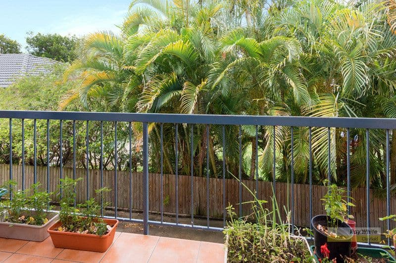 59 Noble Street, Clayfield QLD 4011, Clayfield - Thumbnail 2