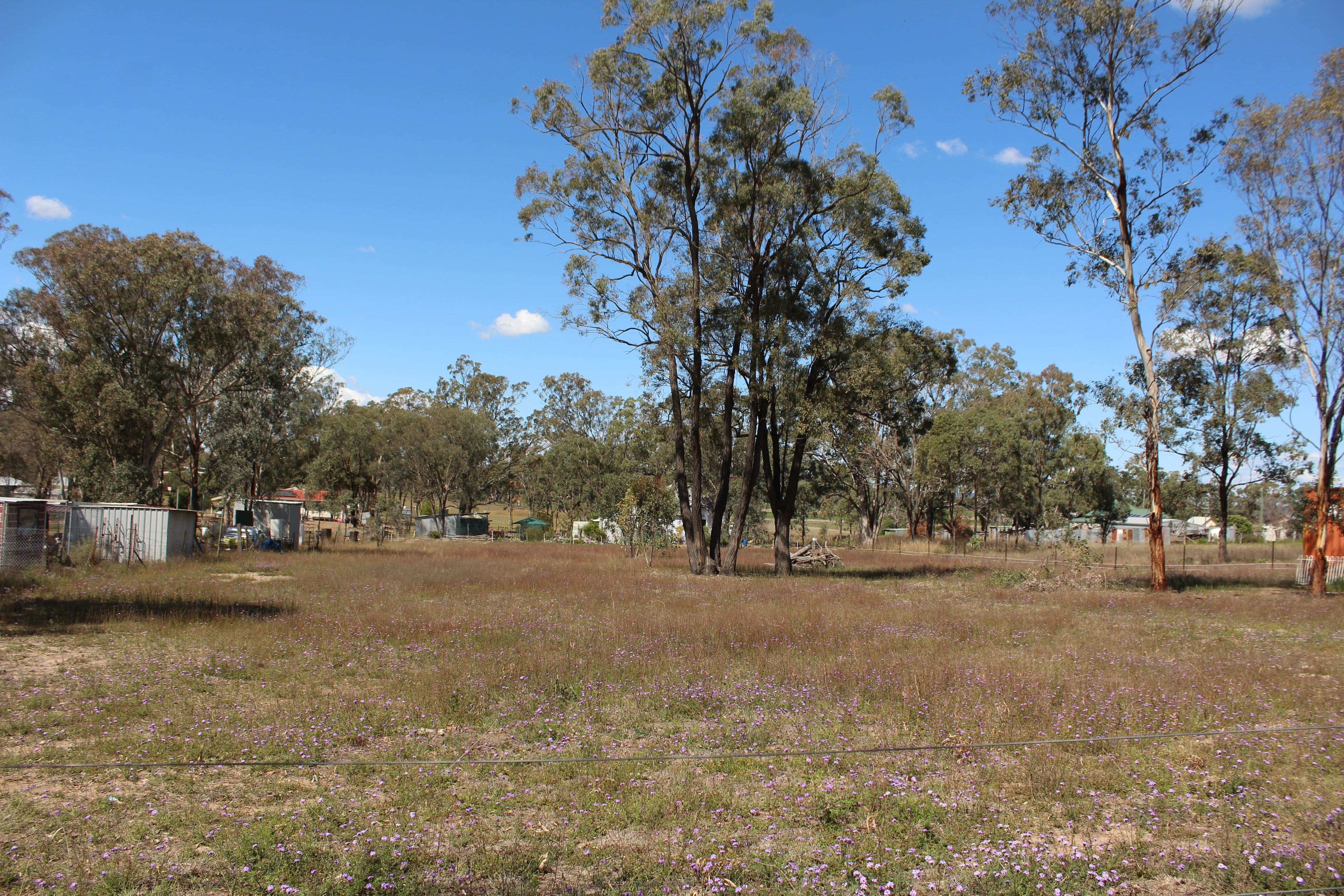 0 Elliott Street, Pratten QLD 4370, Pratten - Thumbnail 4