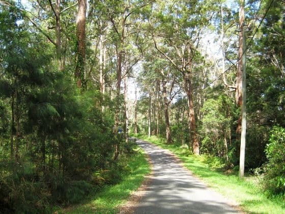 127 Wongawallan Road, EAGLE HEIGHTS QLD 4271, Eagle Heights - Thumbnail 2