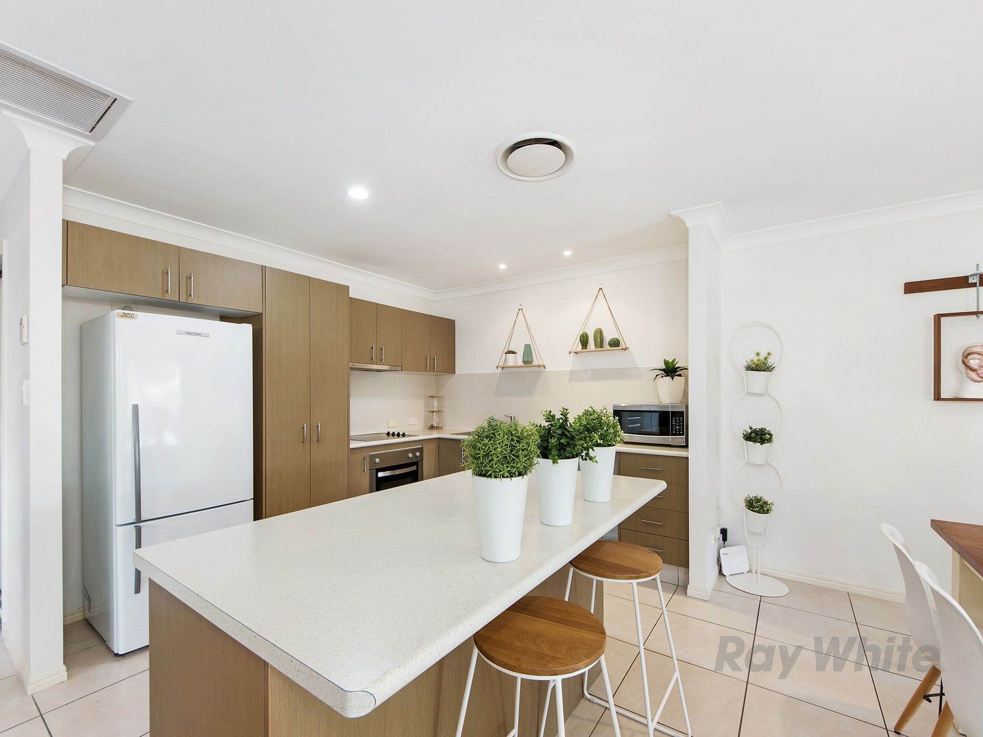 20 Benson Street, Ormeau QLD 4208, Ormeau - Thumbnail 3