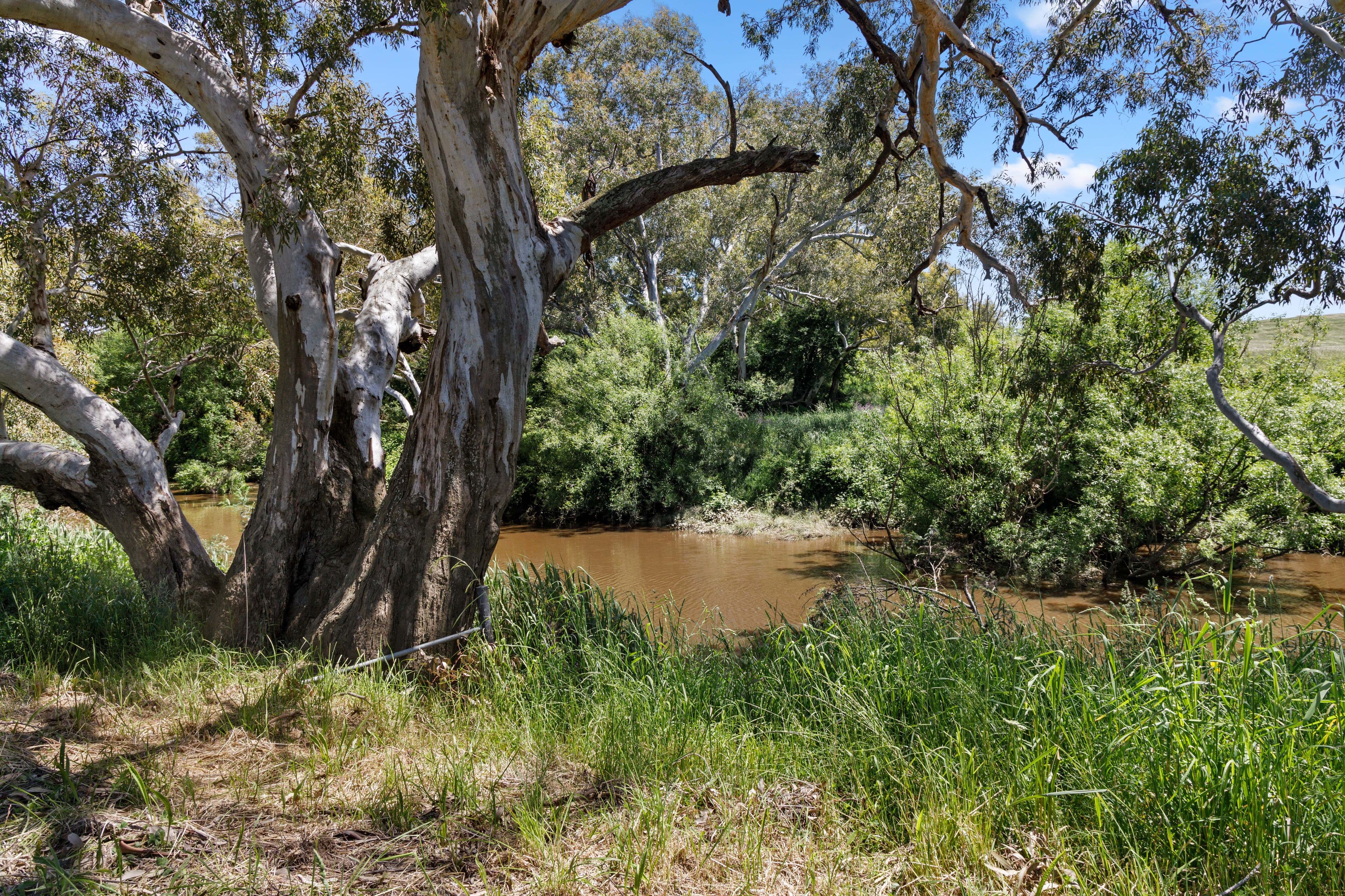 517 Yass River Road, Yass River NSW 2582, Yass River - Thumbnail 4