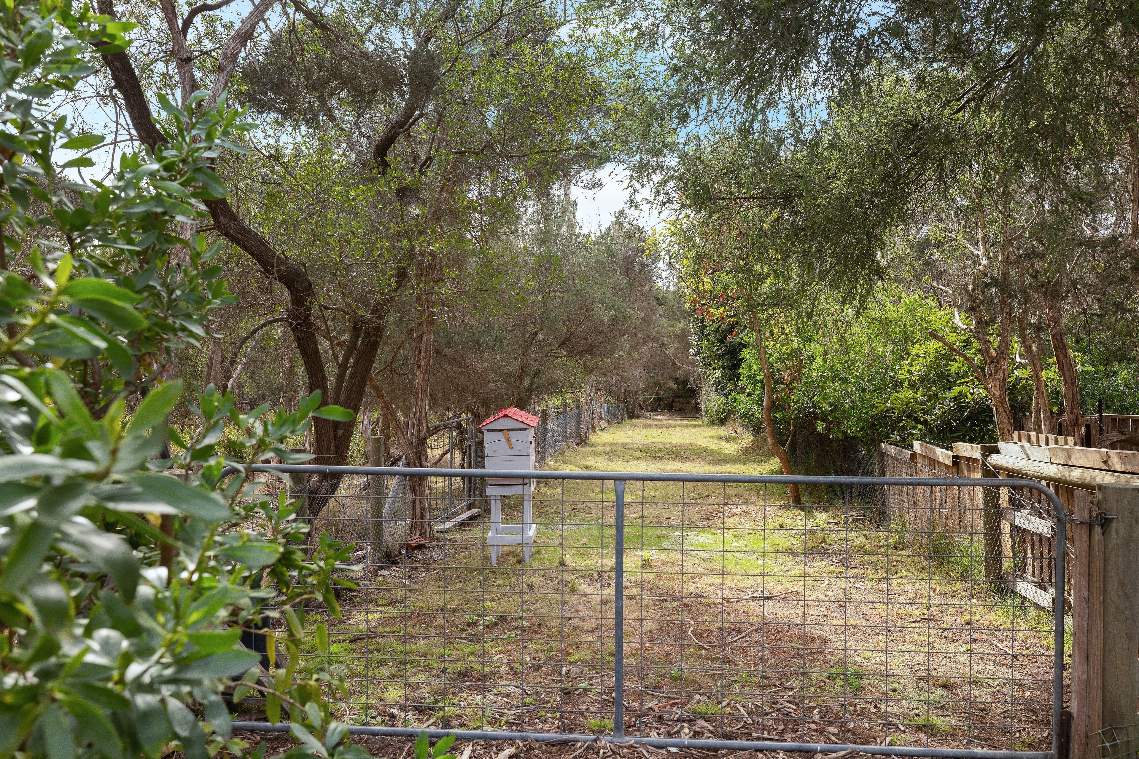 4 Kestrel Court, Cowes VIC 3922, Cowes - Thumbnail 4