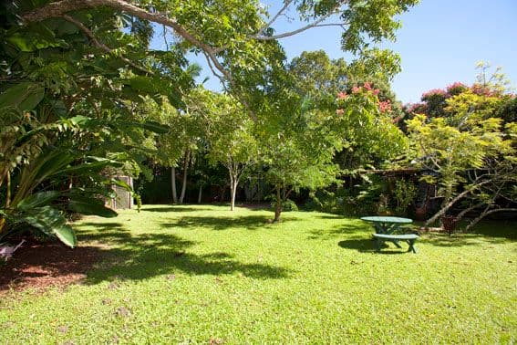 7 Station Street, MULLUMBIMBY NSW 2482, Mullumbimby - Thumbnail 3