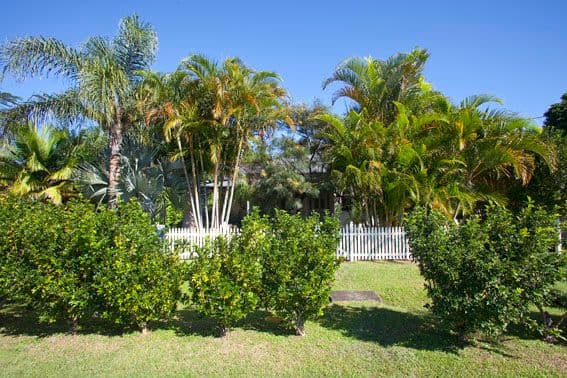 7 Station Street, MULLUMBIMBY NSW 2482, Mullumbimby - Thumbnail 8
