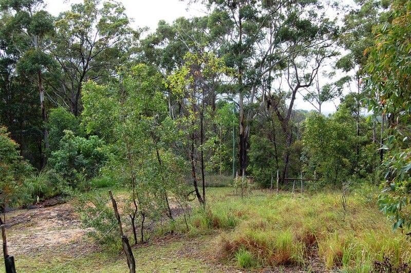 80 Marnie Crescent, DOONAN QLD 4562, Doonan - Thumbnail 5