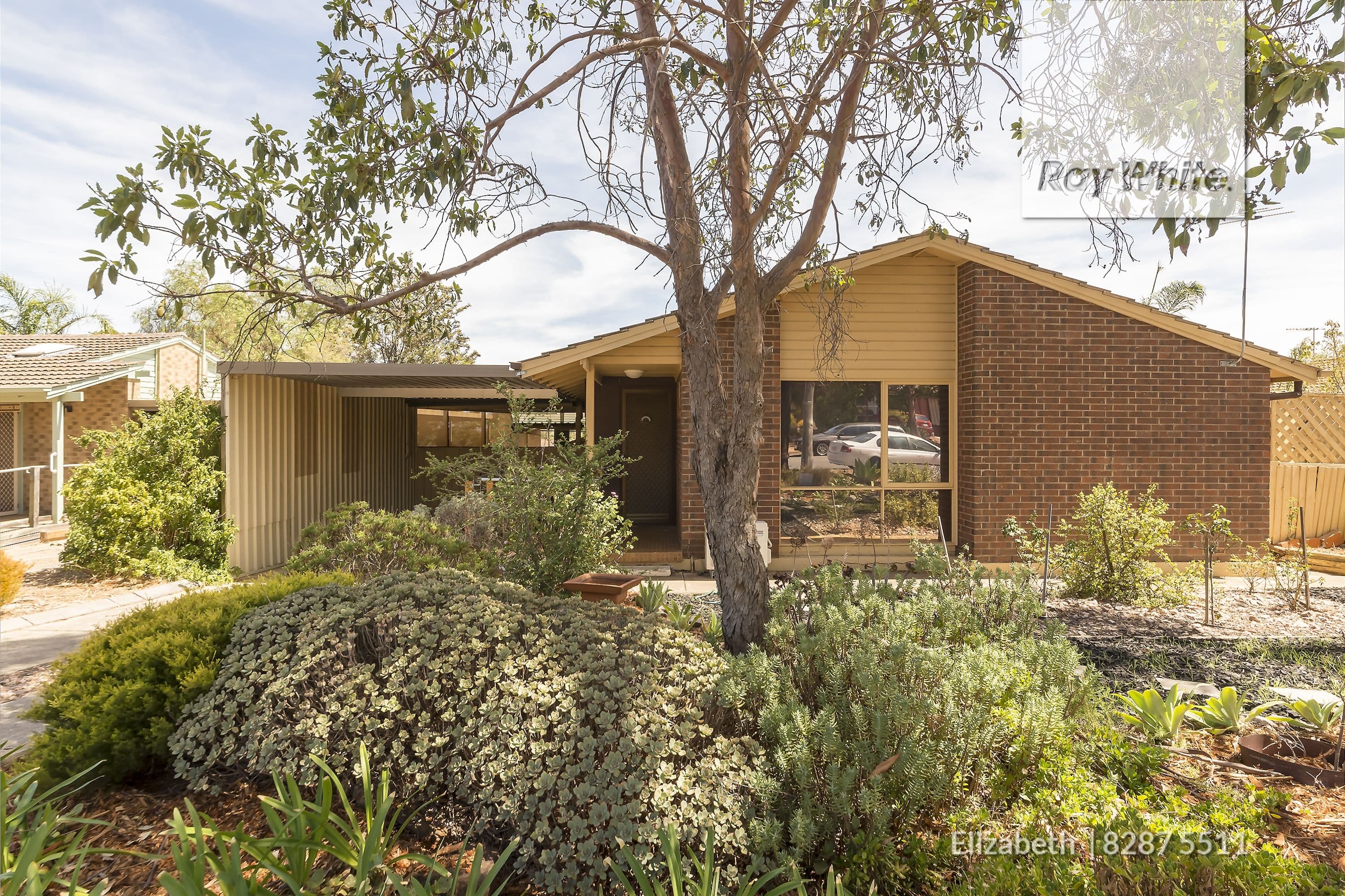 40 Derrick Road, Elizabeth East SA 5112, Elizabeth East - Thumbnail 2