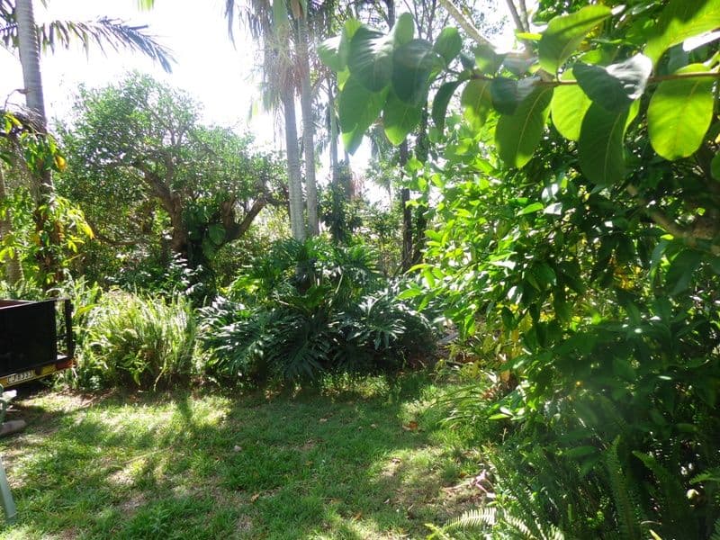 13 Skyline Drive, KINGSTON QLD 4114, Kingston - Thumbnail 6