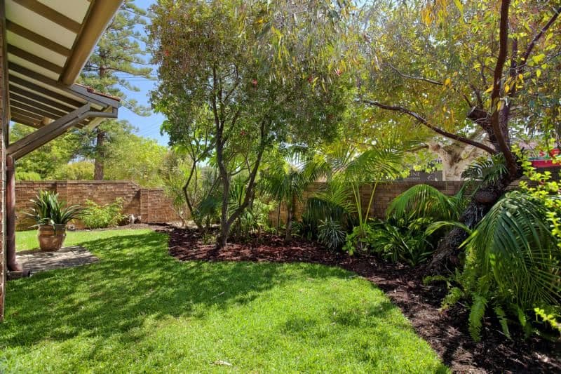 203 Cambridge Street, WEMBLEY WA 6014, Wembley - Thumbnail 3