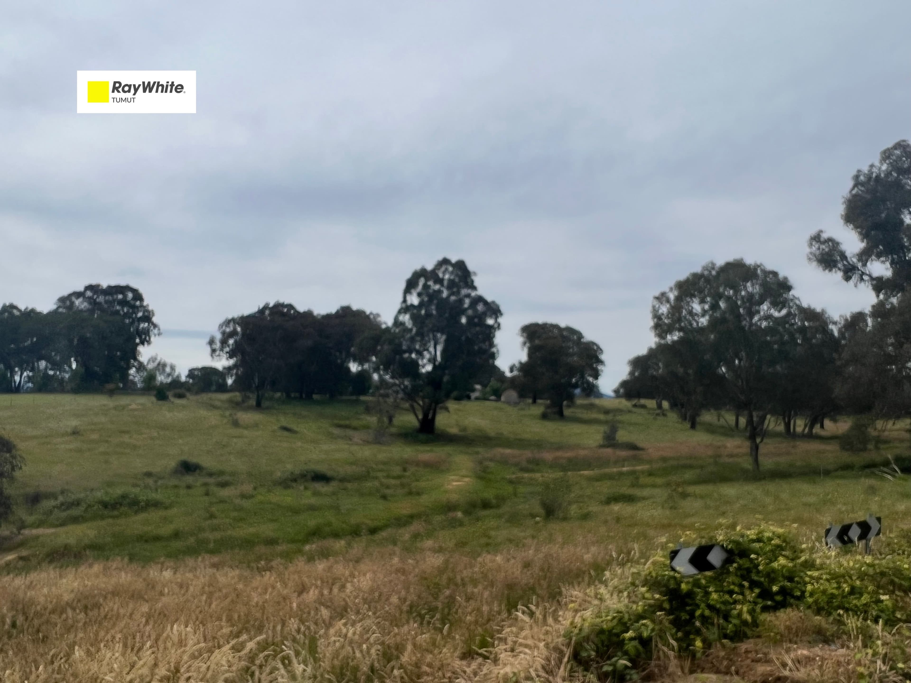 Lot 52 Quandong Avenue, Tumut NSW 2720, Tumut - Image 1