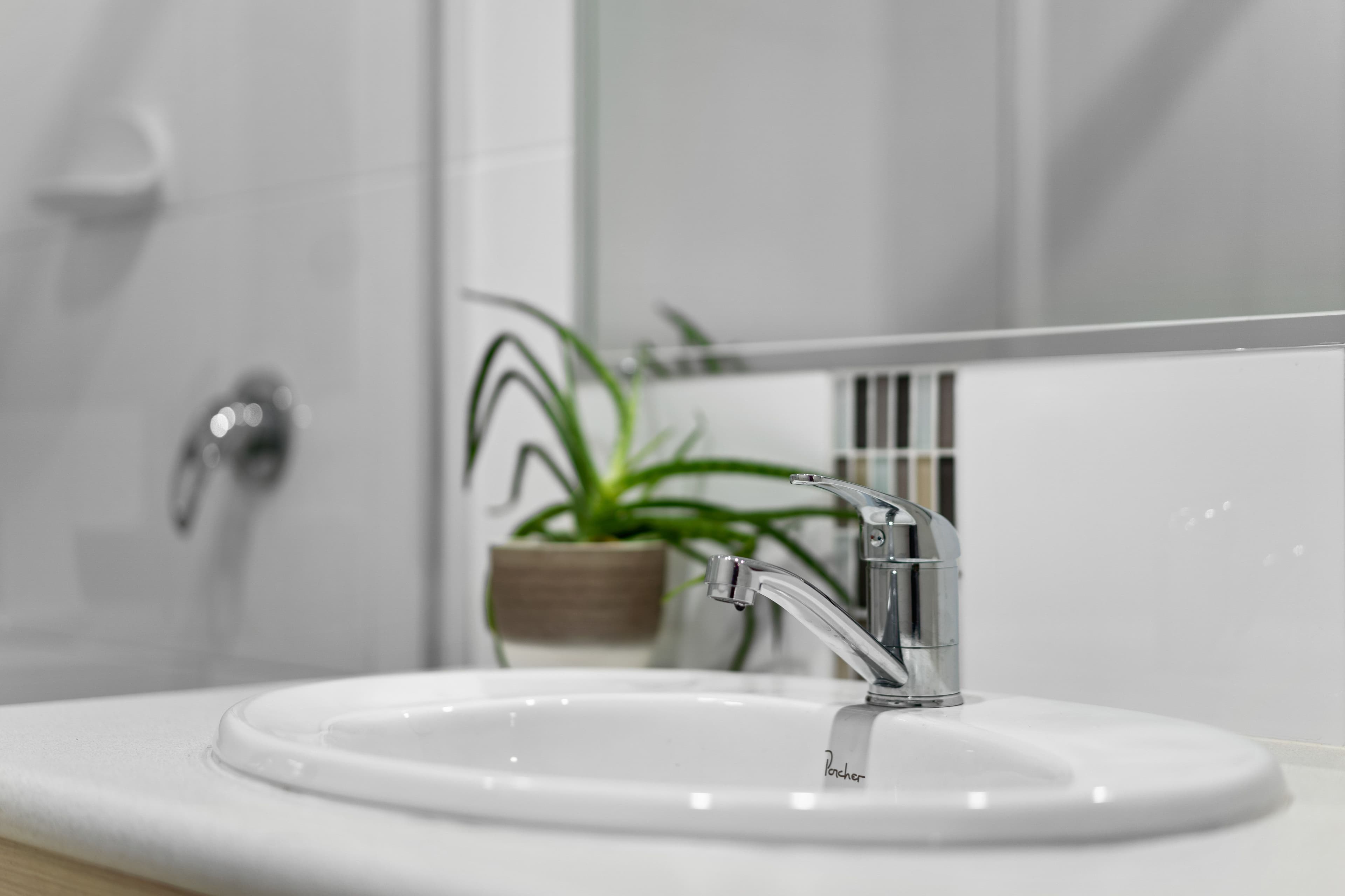 9 Dandelion Street, Griffin QLD 4503, Griffin - Thumbnail 5