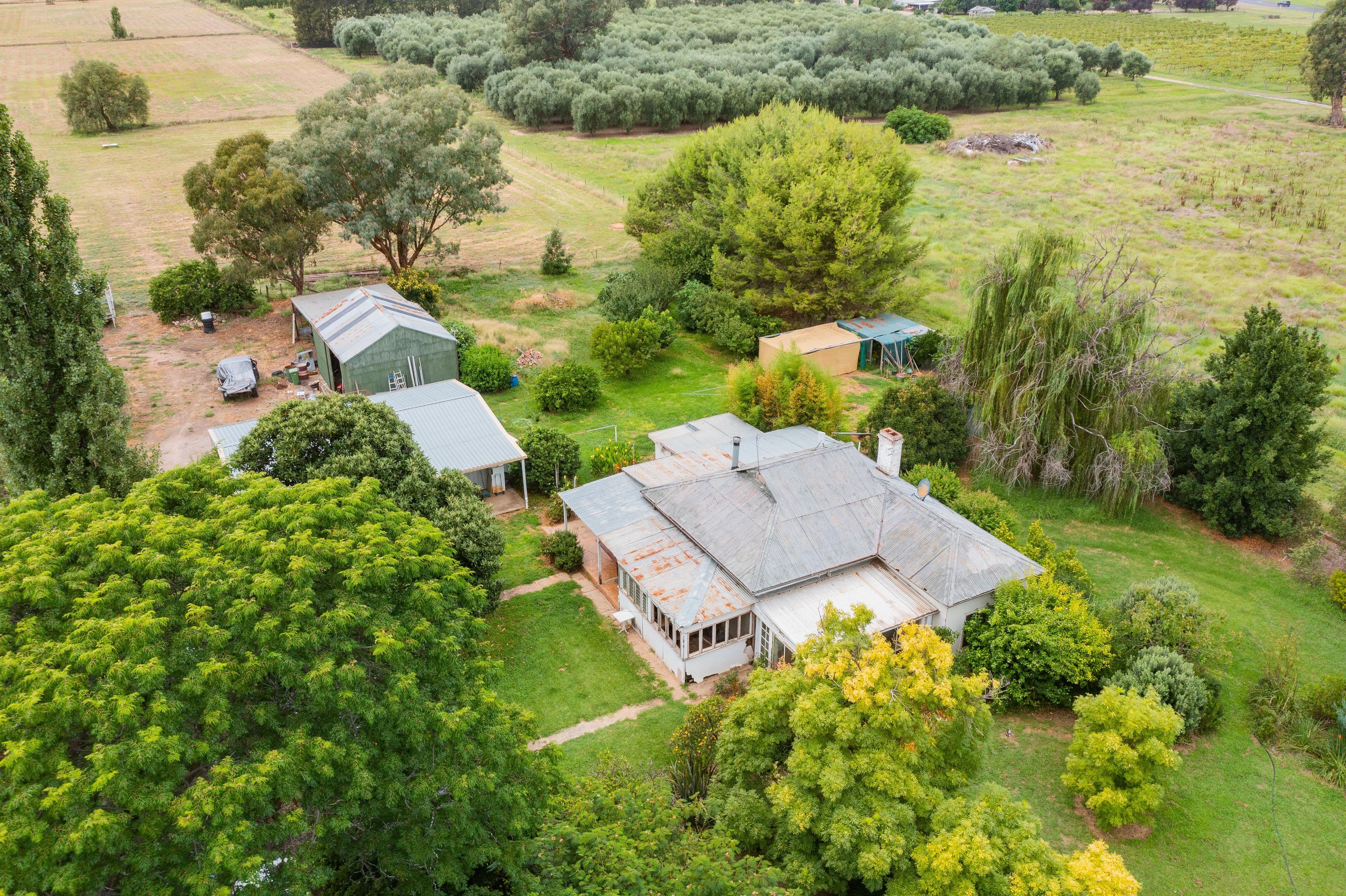3 Pioneer Avenue, Gumly Gumly NSW 2652, Gumly Gumly - Thumbnail 2