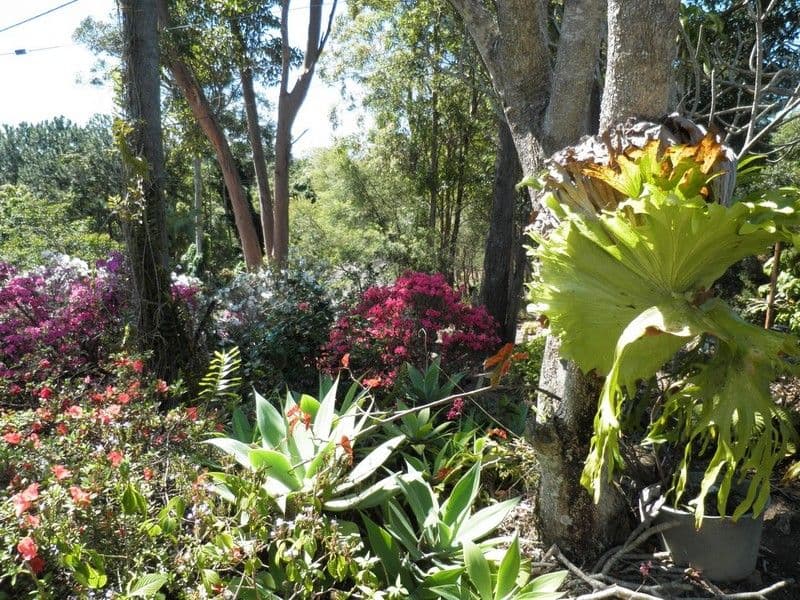 90 Francis Road, BLI BLI QLD 4560, Bli Bli - Thumbnail 2