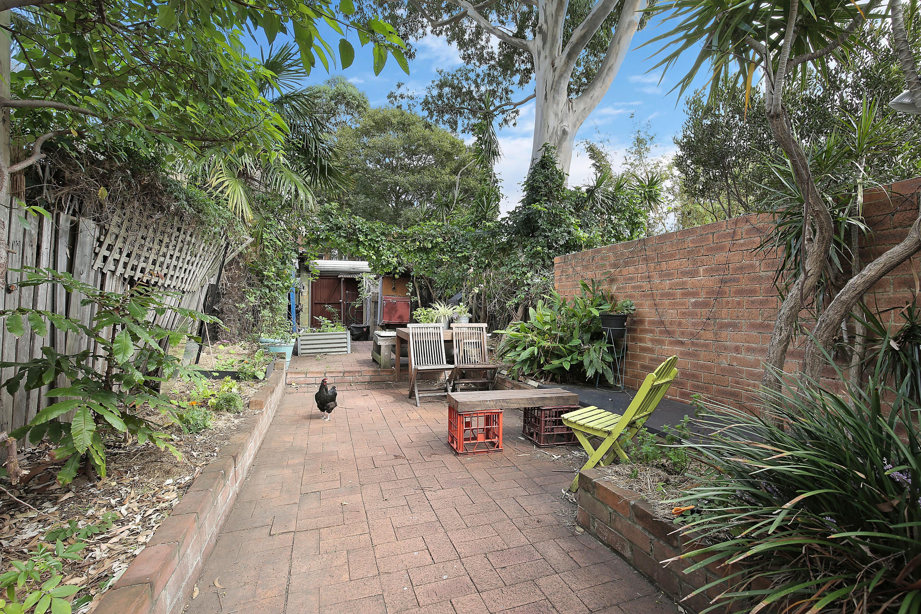 153 Rochford Street, Erskineville - Thumbnail 6