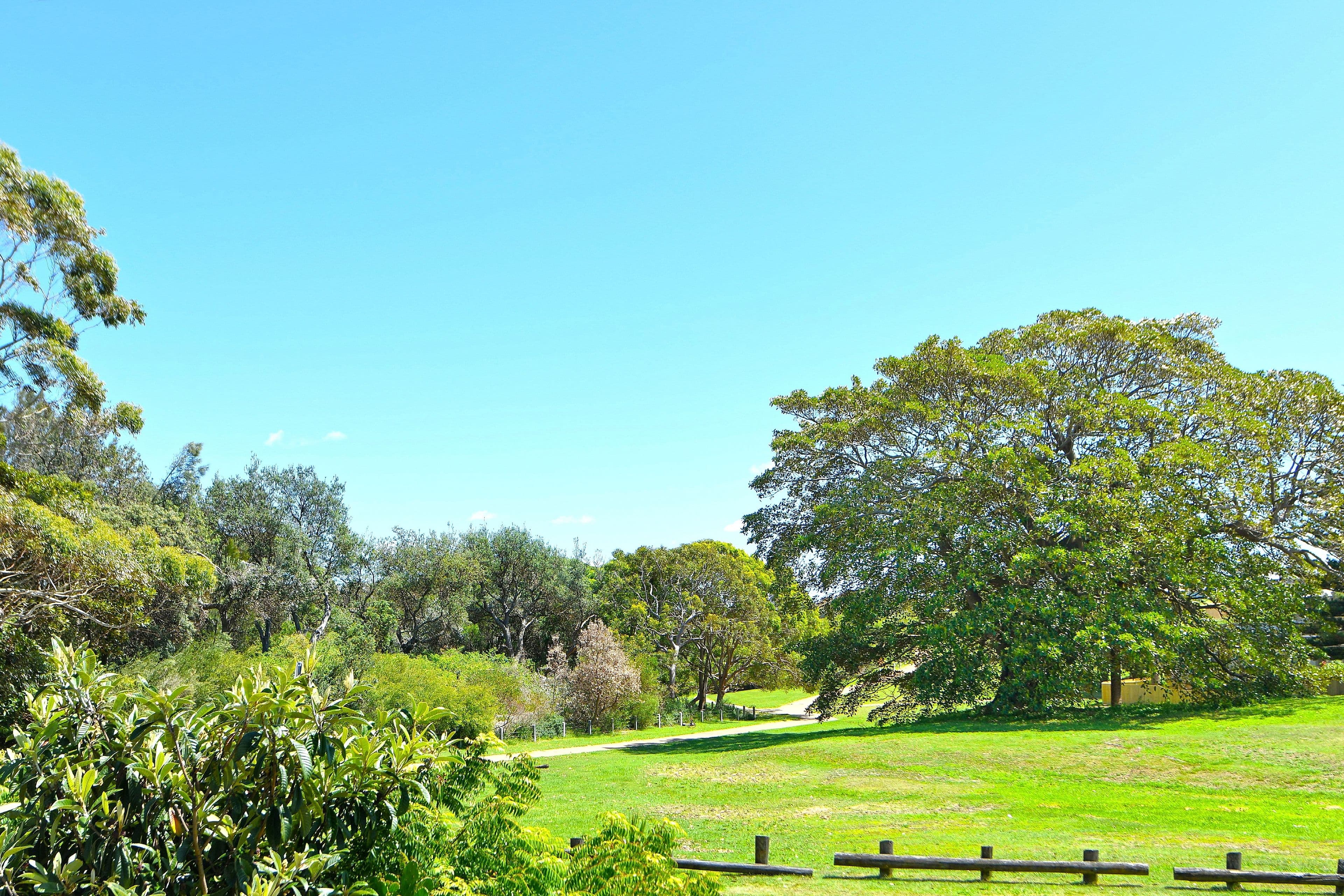 21 Endeavour Avenue, La Perouse NSW 2036, La Perouse - Thumbnail 6