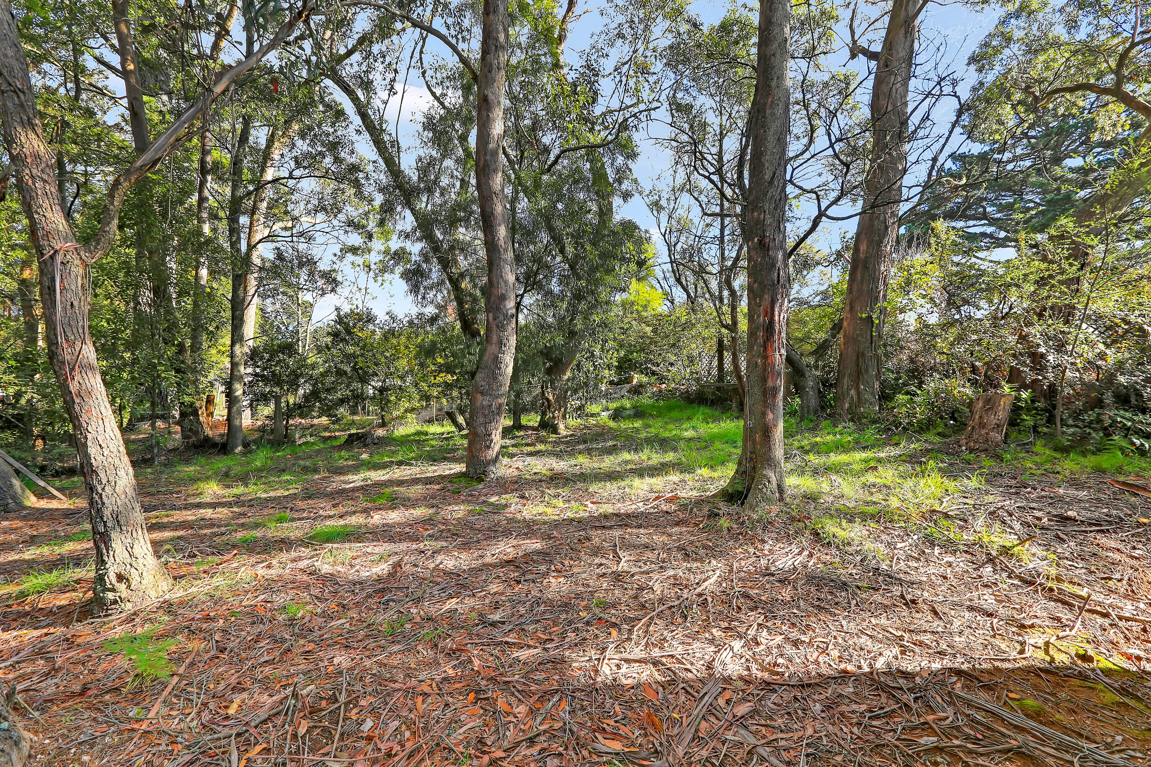 23 Palmer Crescent, Blackheath NSW 2785, Blackheath - Thumbnail 6