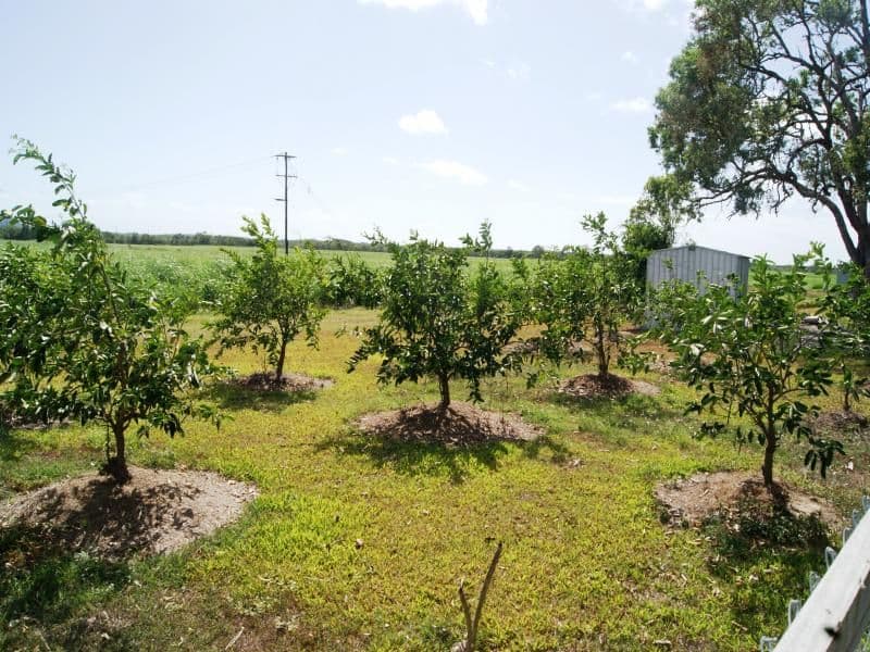 Lot 4 Captain Cook Highway, PORT DOUGLAS QLD 4877, Port Douglas - Thumbnail 6