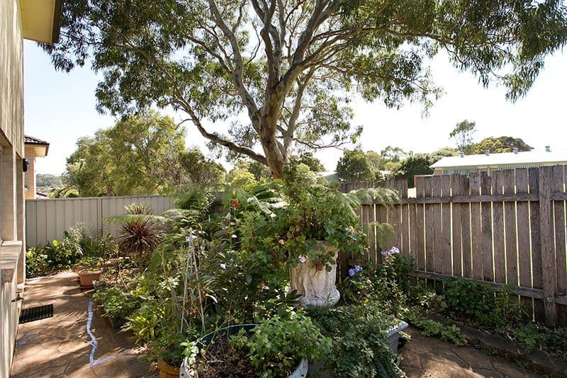 34A Addison Street, Shellharbour NSW 2529, Shellharbour - Thumbnail 3