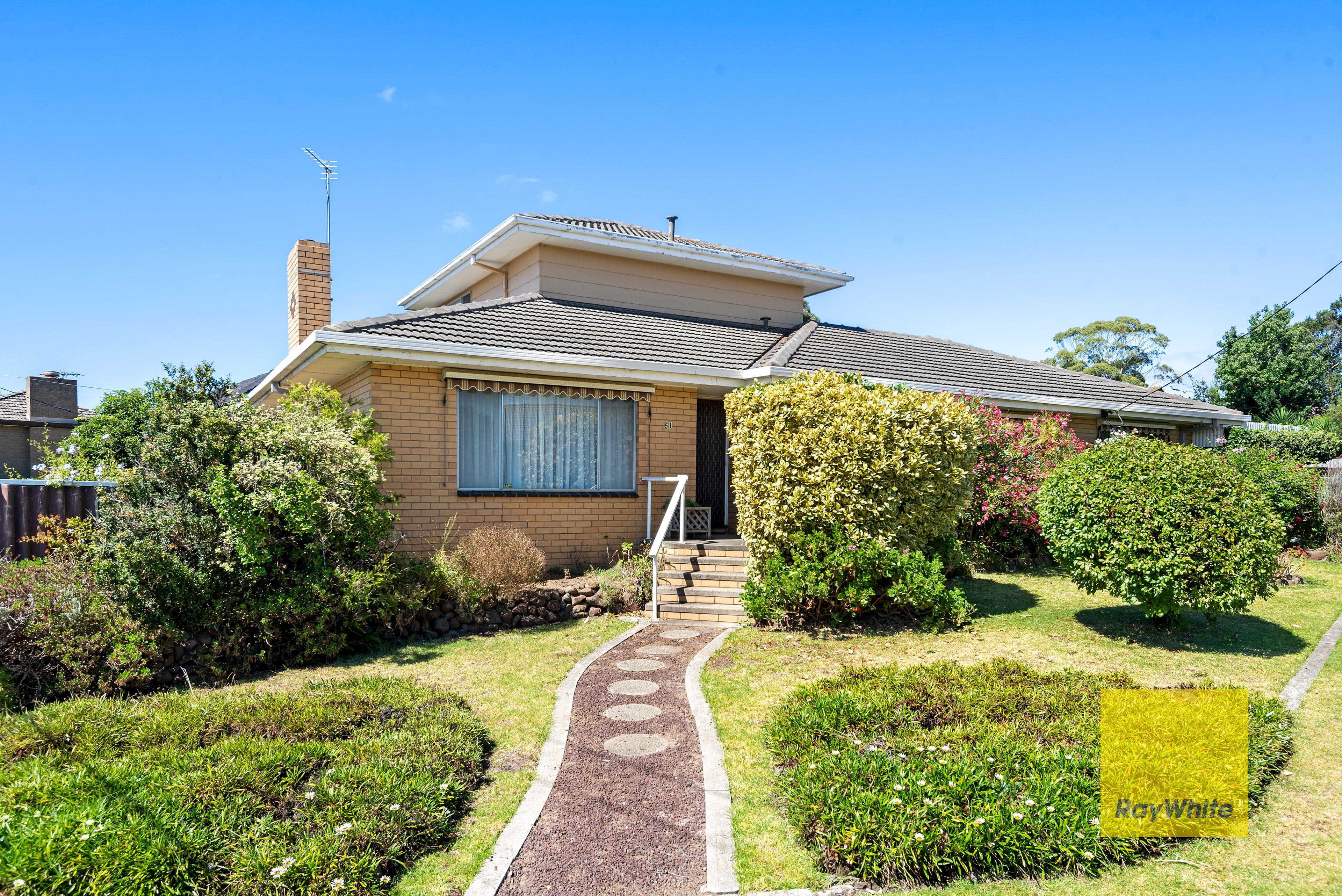 51 Peter Street, Grovedale VIC 3216, Grovedale - Image 1