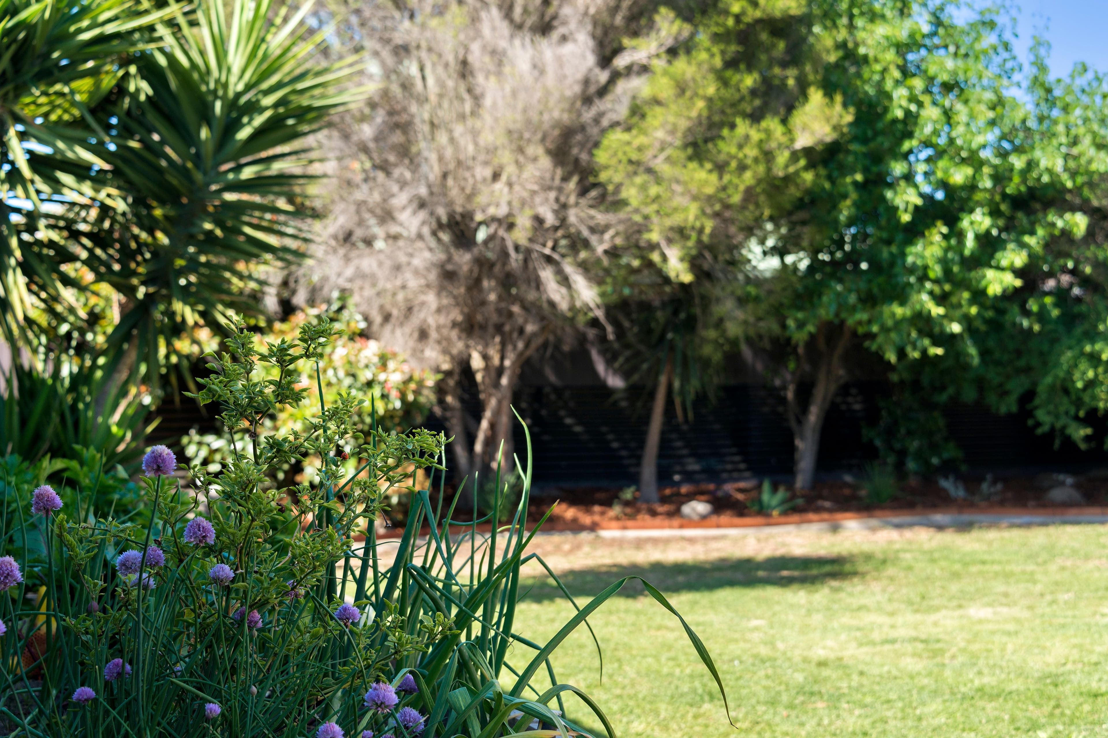 32 Maple Street, Seaford VIC 3198, Seaford - Thumbnail 8