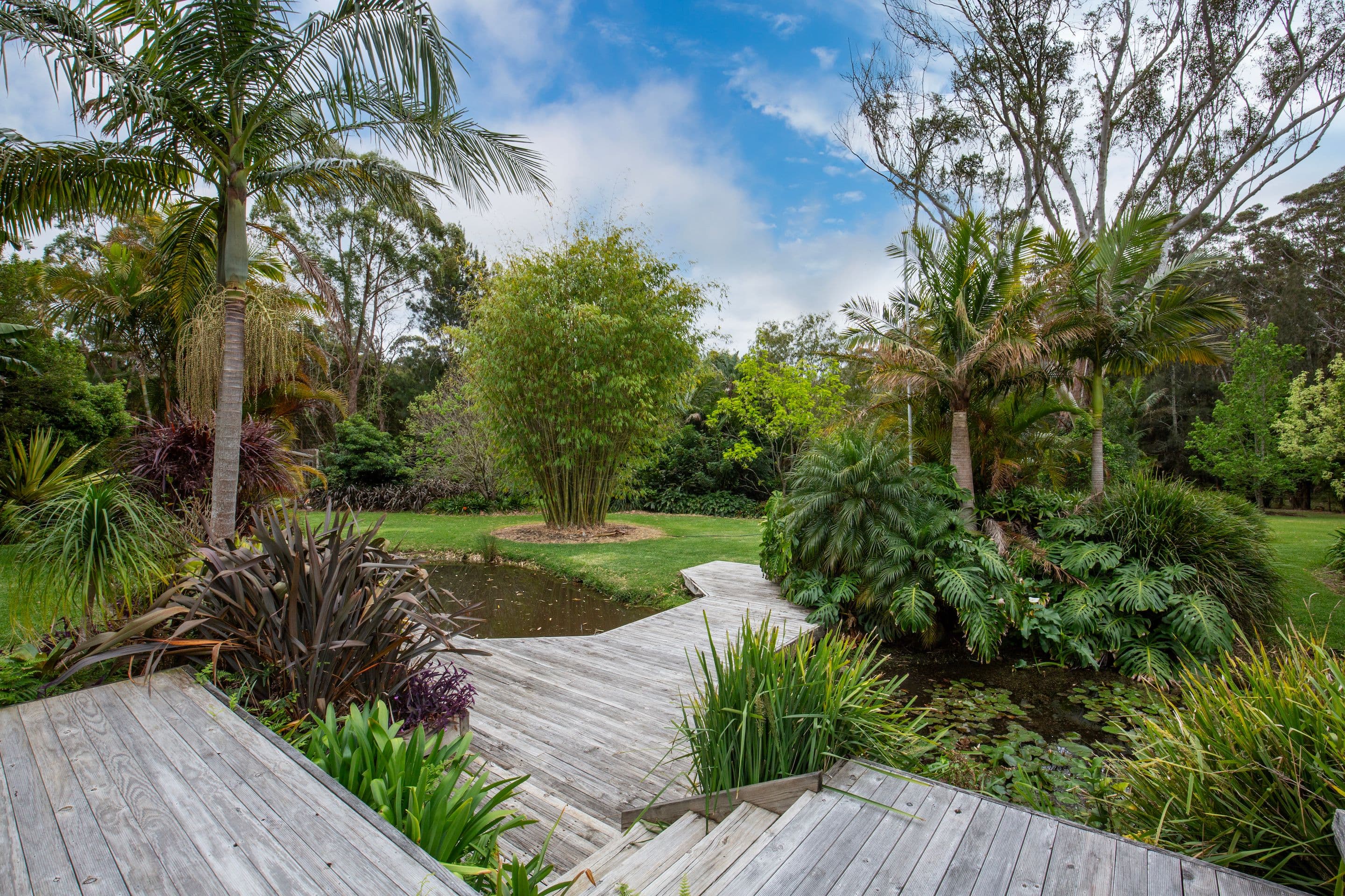 59 Coomonderry Ridge, Berry NSW 2535, Berry - Thumbnail 5