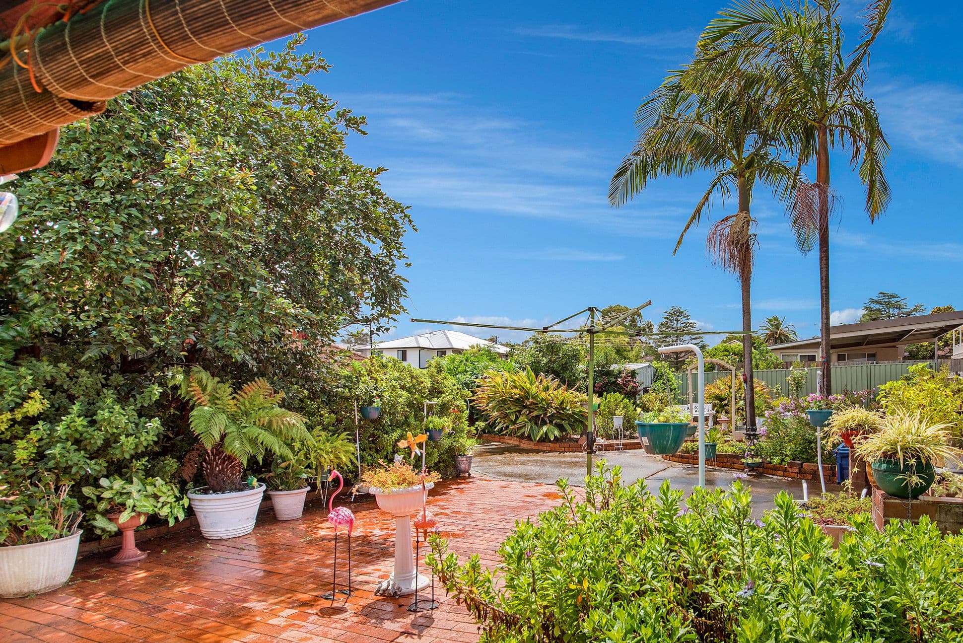 36 Allman Street, Campbelltown - Thumbnail 3