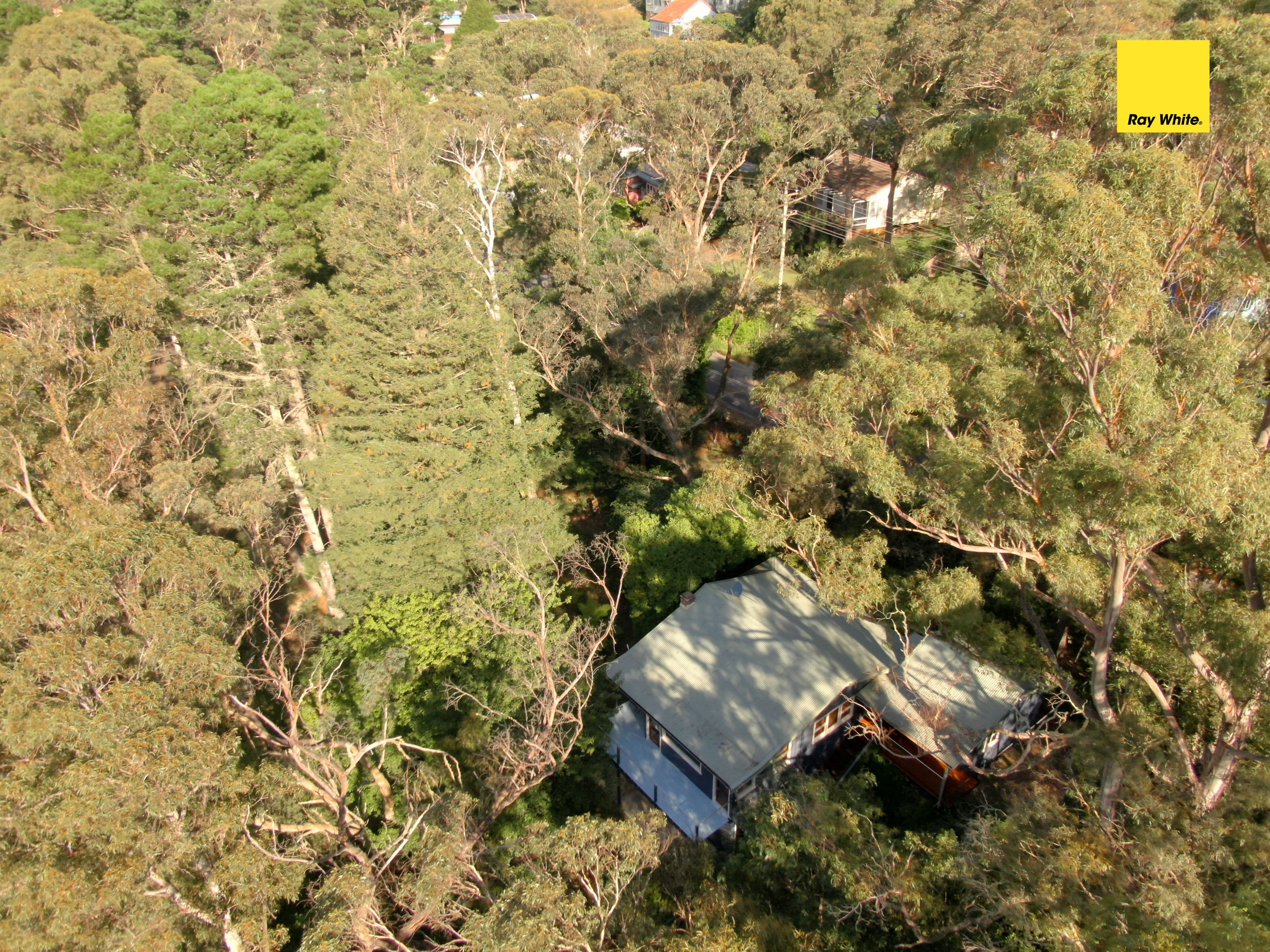 27-29 Shipley Road, Blackheath NSW 2785, Blackheath - Thumbnail 8