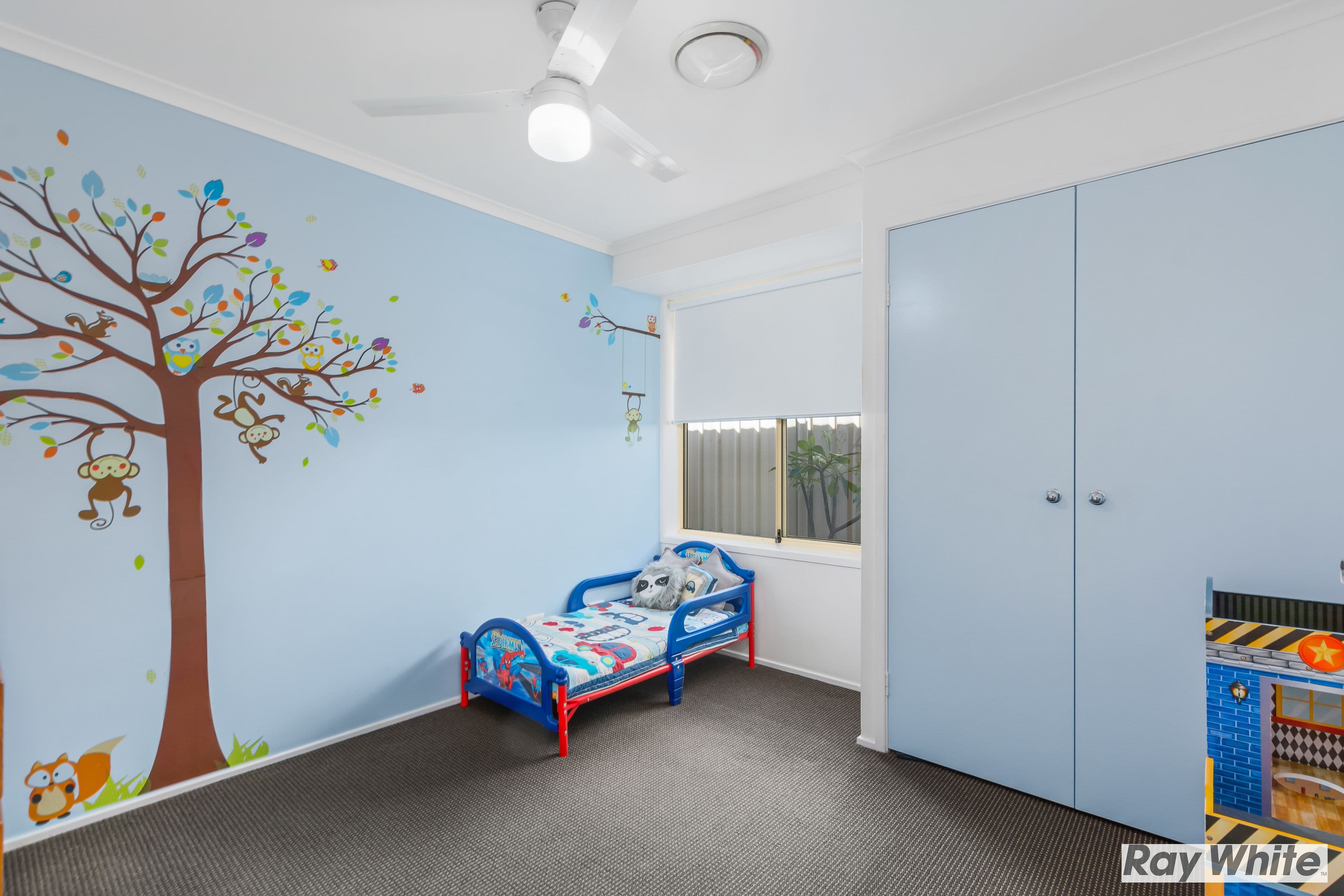 43 Centenary Road, Albion Park NSW 2527, Albion Park - Thumbnail 5