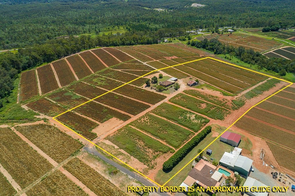 Lot 61 Central Avenue, Wamuran QLD 4512, Wamuran - Thumbnail 3