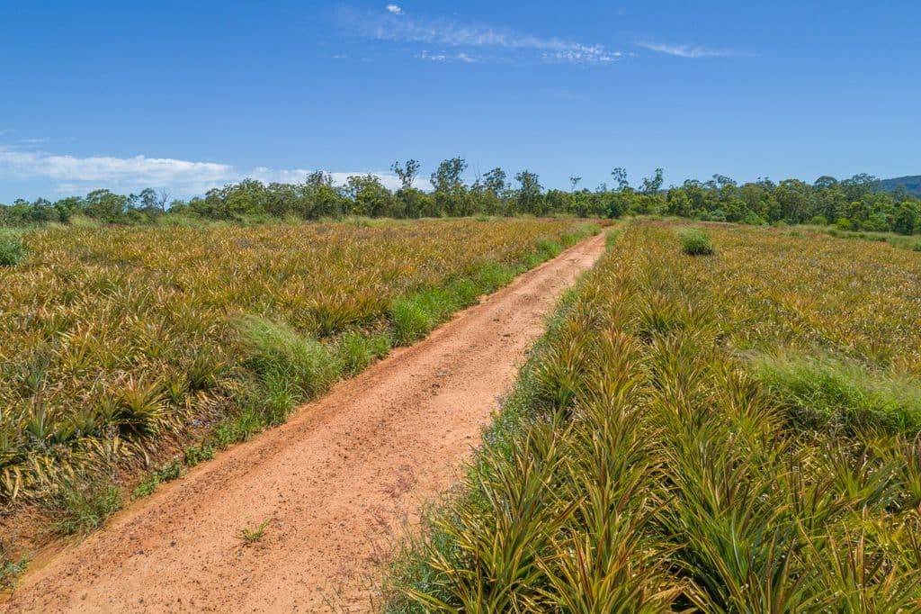 Lot 61 Central Avenue, Wamuran QLD 4512, Wamuran - Thumbnail 6