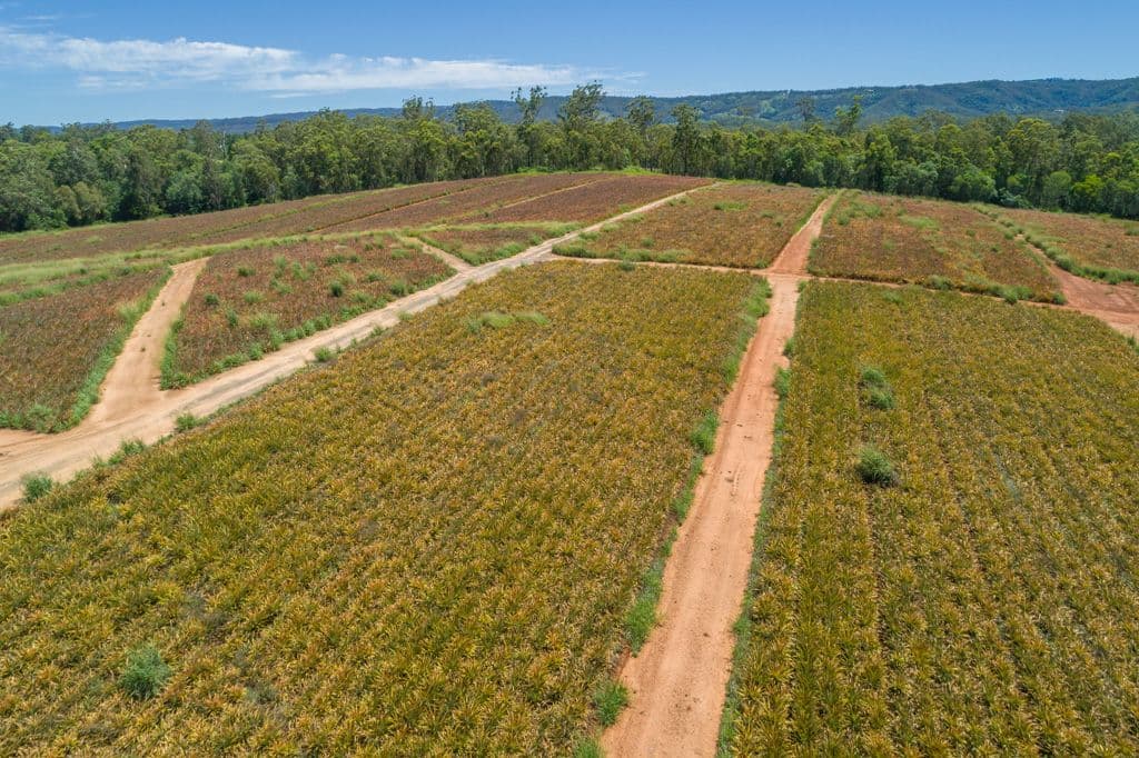 Lot 61 Central Avenue, Wamuran QLD 4512, Wamuran - Thumbnail 7