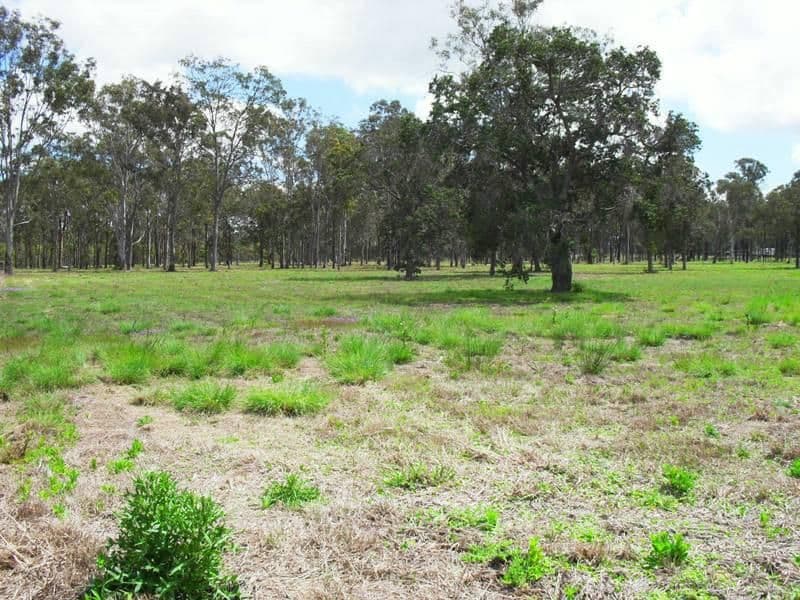 62 Tara Avenue, NANANGO QLD 4615, Nanango - Thumbnail 3