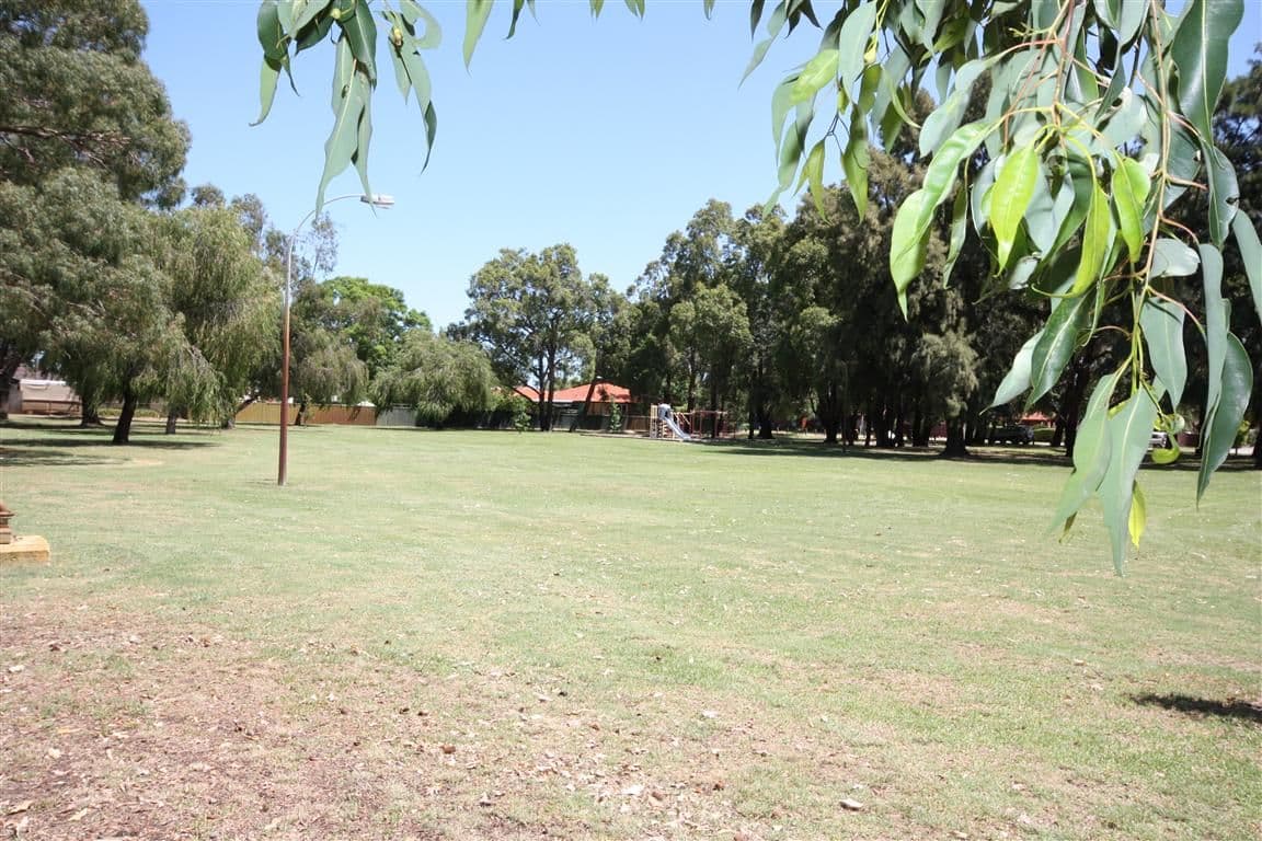 102 Virgil Avenue, YOKINE WA 6060, Yokine - Thumbnail 2