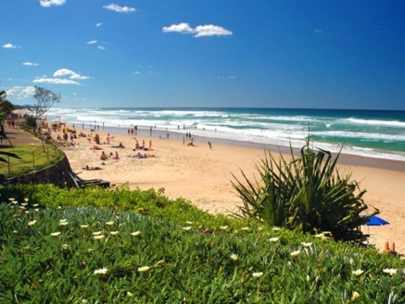 17 Bluegum Court, COOLUM BEACH QLD 4573, Coolum Beach - Thumbnail 4