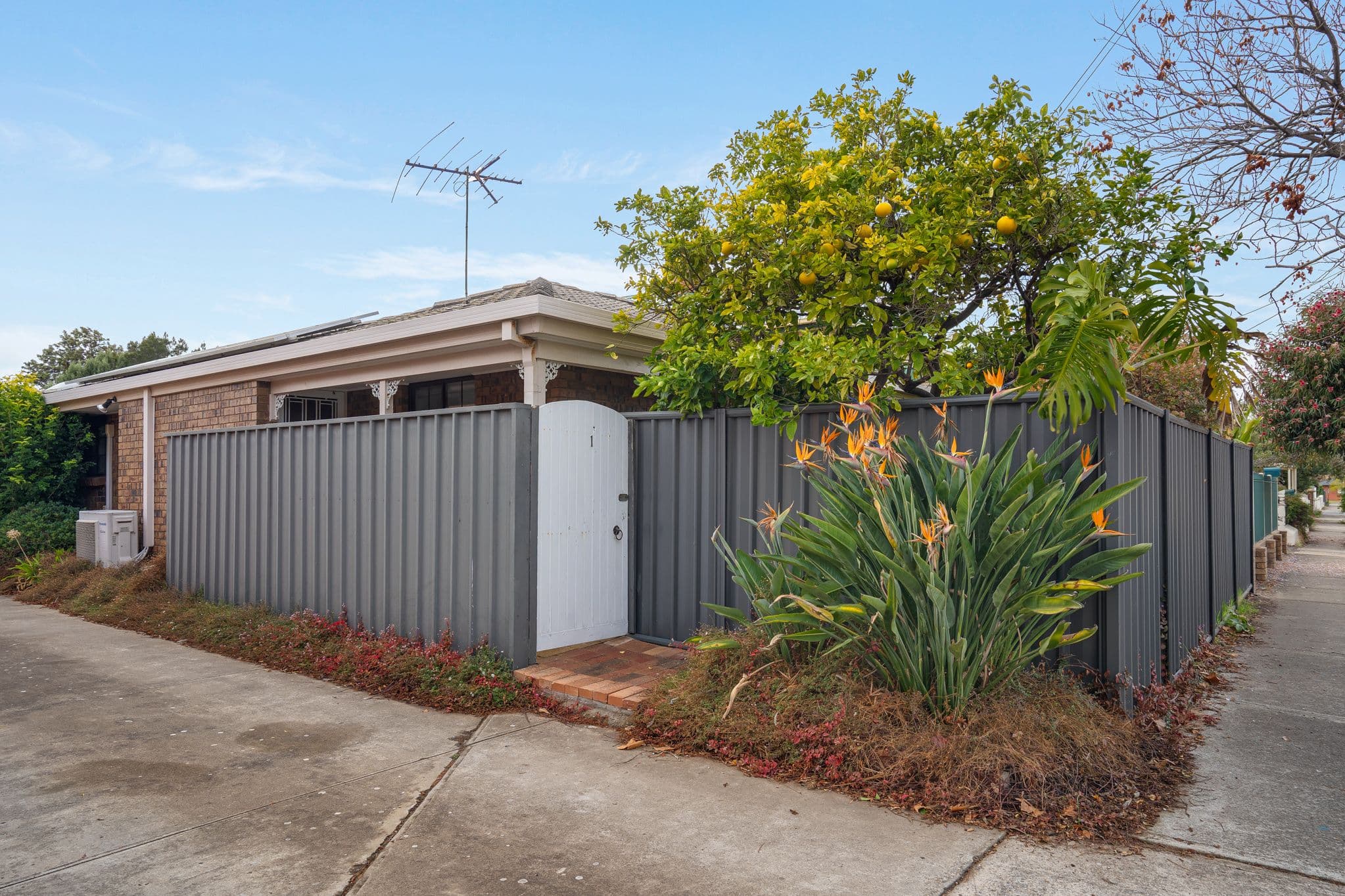 39 Dudley Street, Semaphore SA 5019, Semaphore - Thumbnail 2