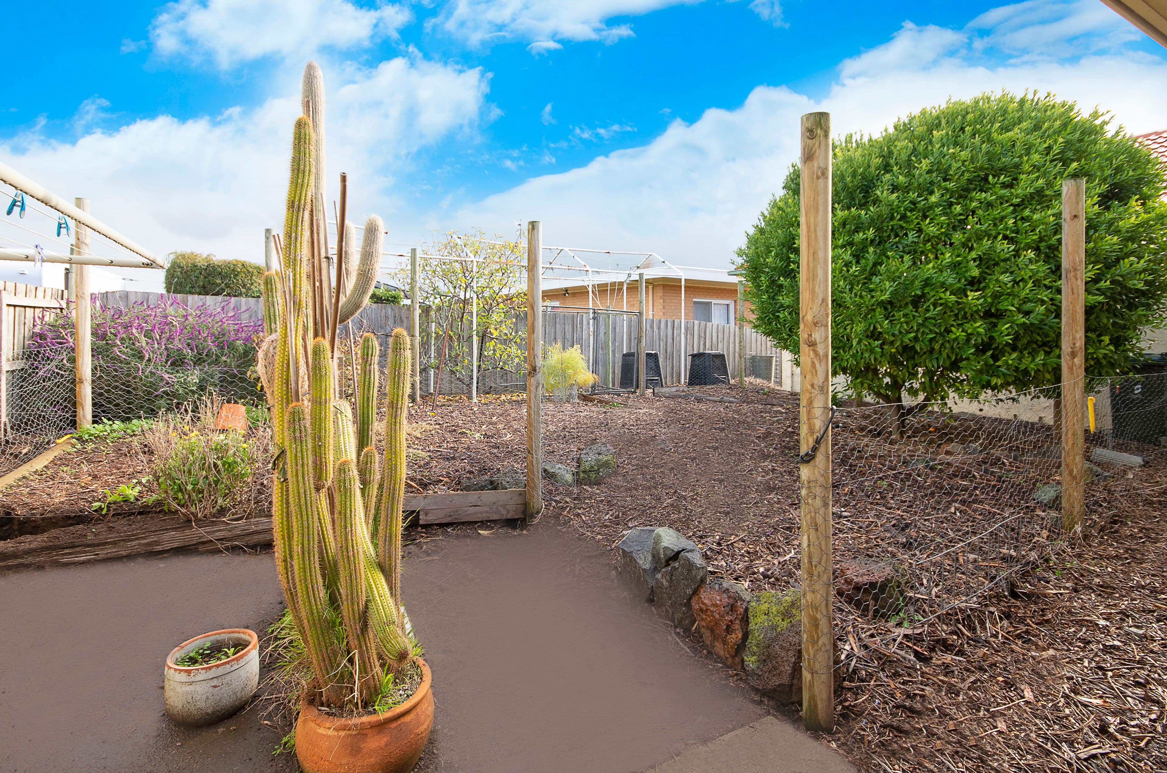 3 Dooley Street, Warrnambool VIC 3280, Warrnambool - Thumbnail 6